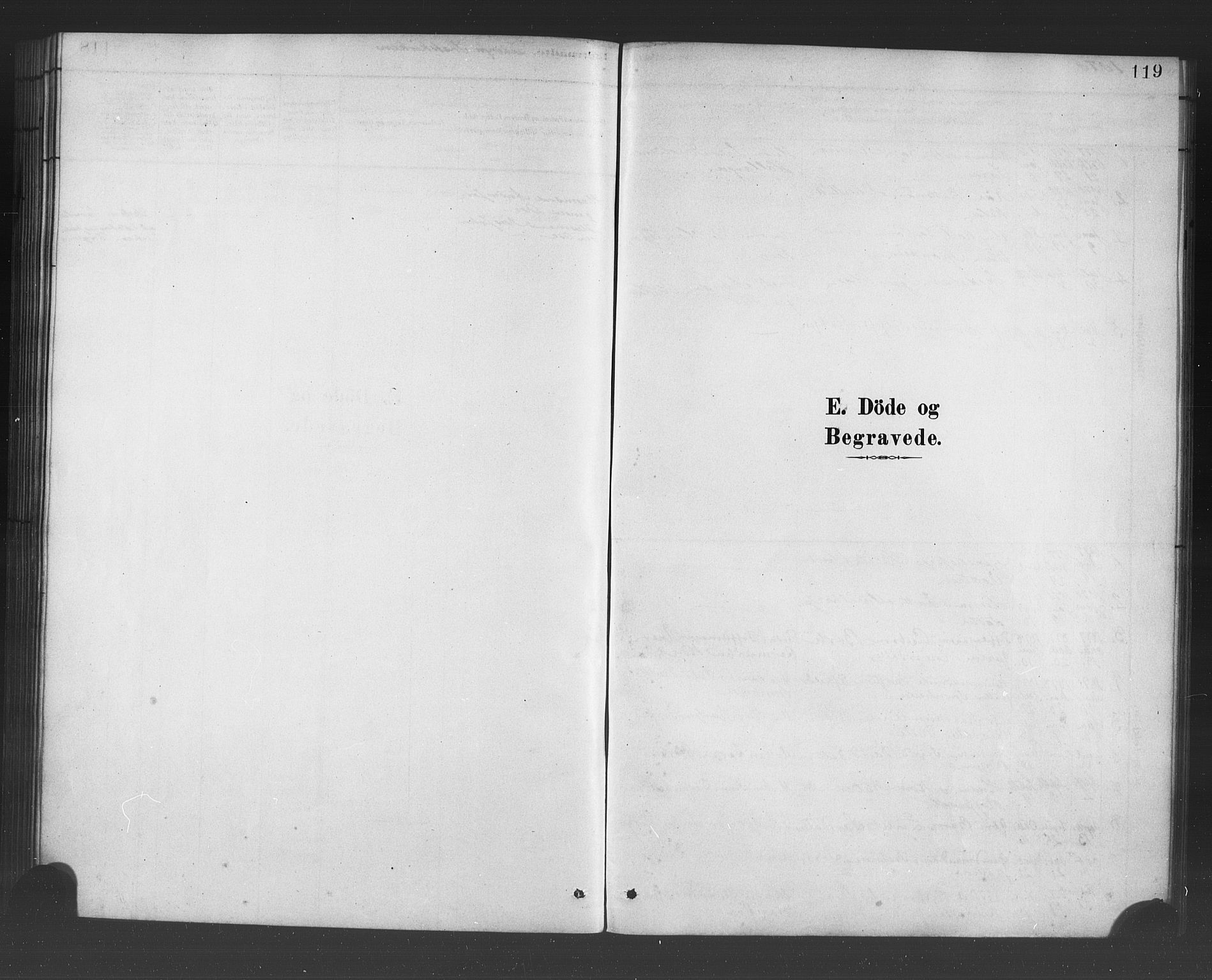 Ulvik sokneprestembete, SAB/A-78801/H/Haa: Parish register (official) no. B 1, 1878-1897, p. 119
