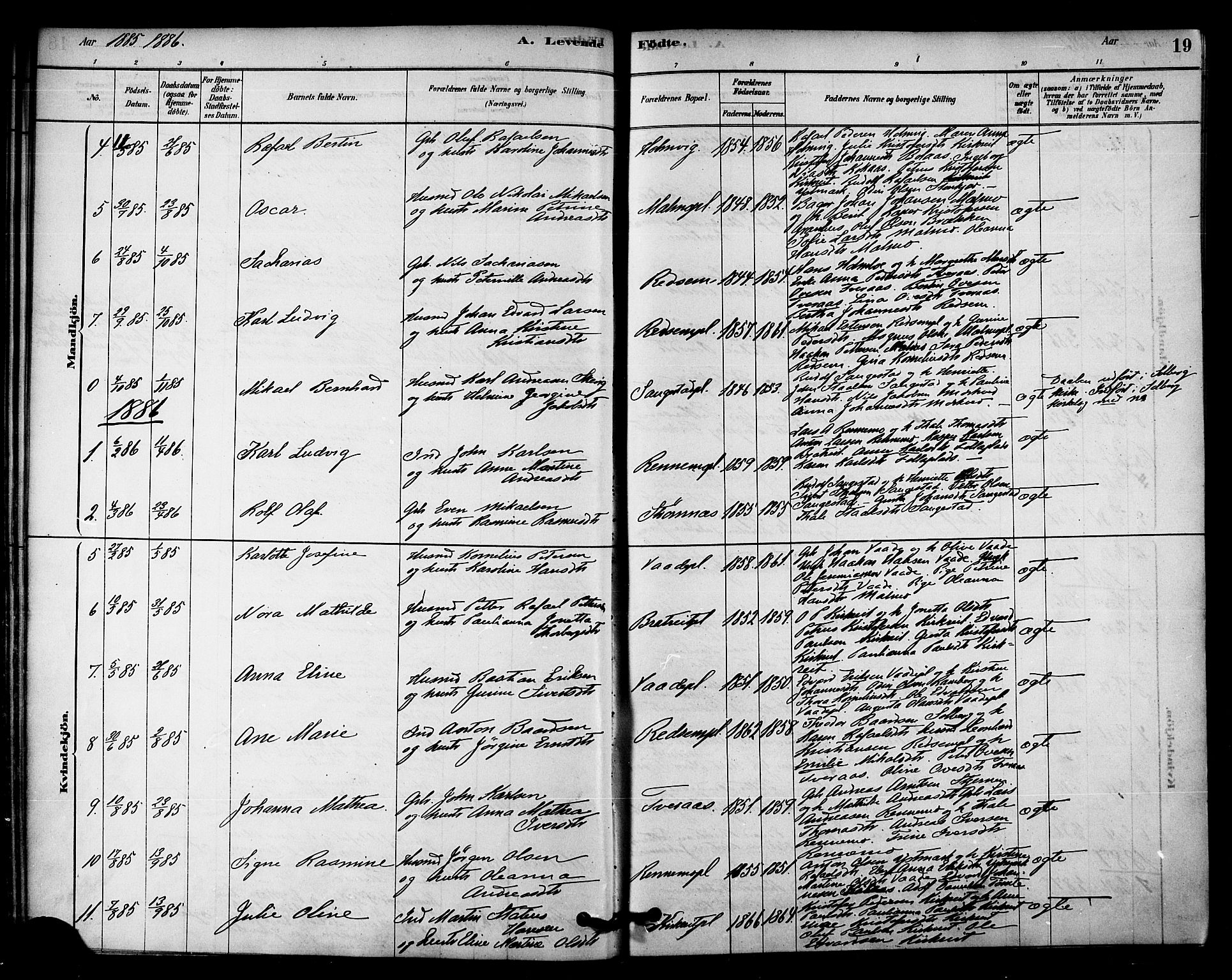 Ministerialprotokoller, klokkerbøker og fødselsregistre - Nord-Trøndelag, SAT/A-1458/745/L0429: Parish register (official) no. 745A01, 1878-1894, p. 19