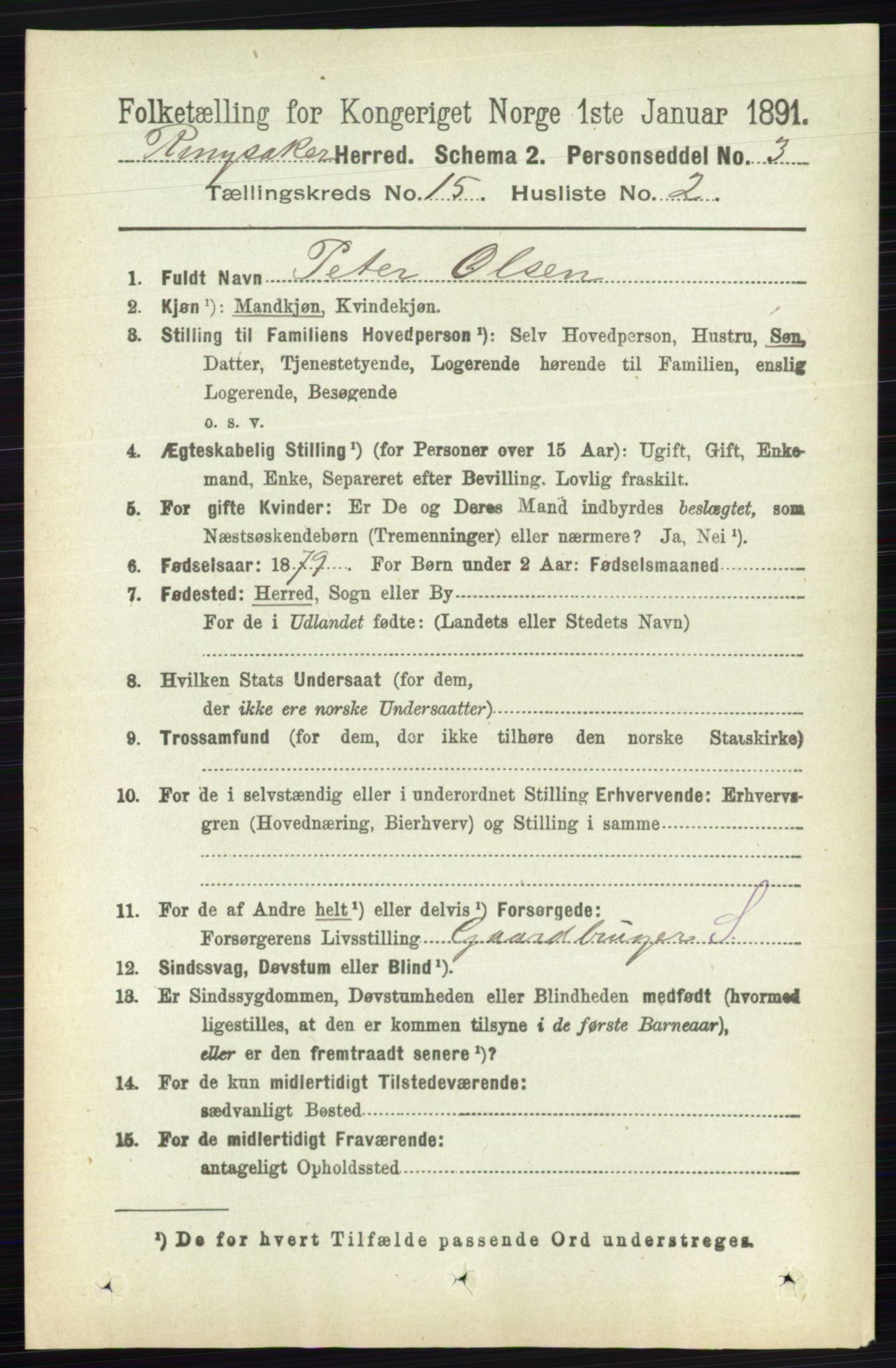 RA, 1891 census for 0412 Ringsaker, 1891, p. 8493