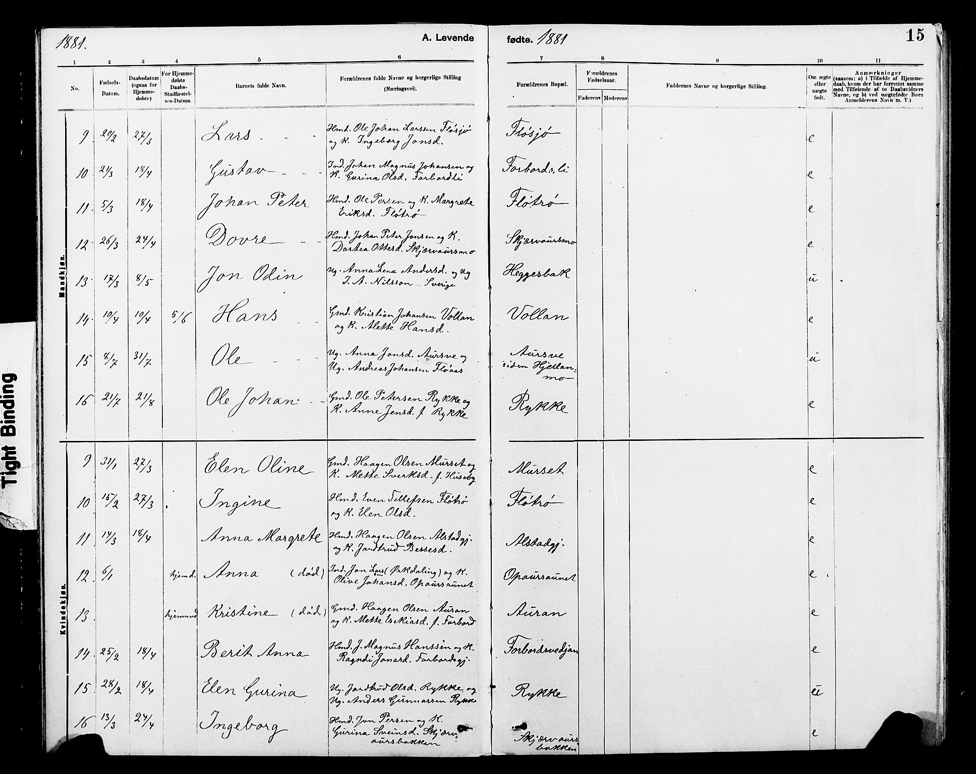 Ministerialprotokoller, klokkerbøker og fødselsregistre - Nord-Trøndelag, AV/SAT-A-1458/712/L0103: Parish register (copy) no. 712C01, 1878-1917, p. 15