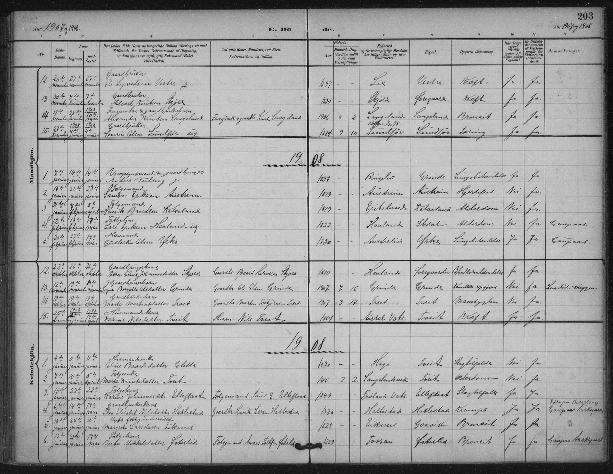 Skjold sokneprestkontor, AV/SAST-A-101847/H/Ha/Haa/L0011: Parish register (official) no. A 11, 1897-1914, p. 203