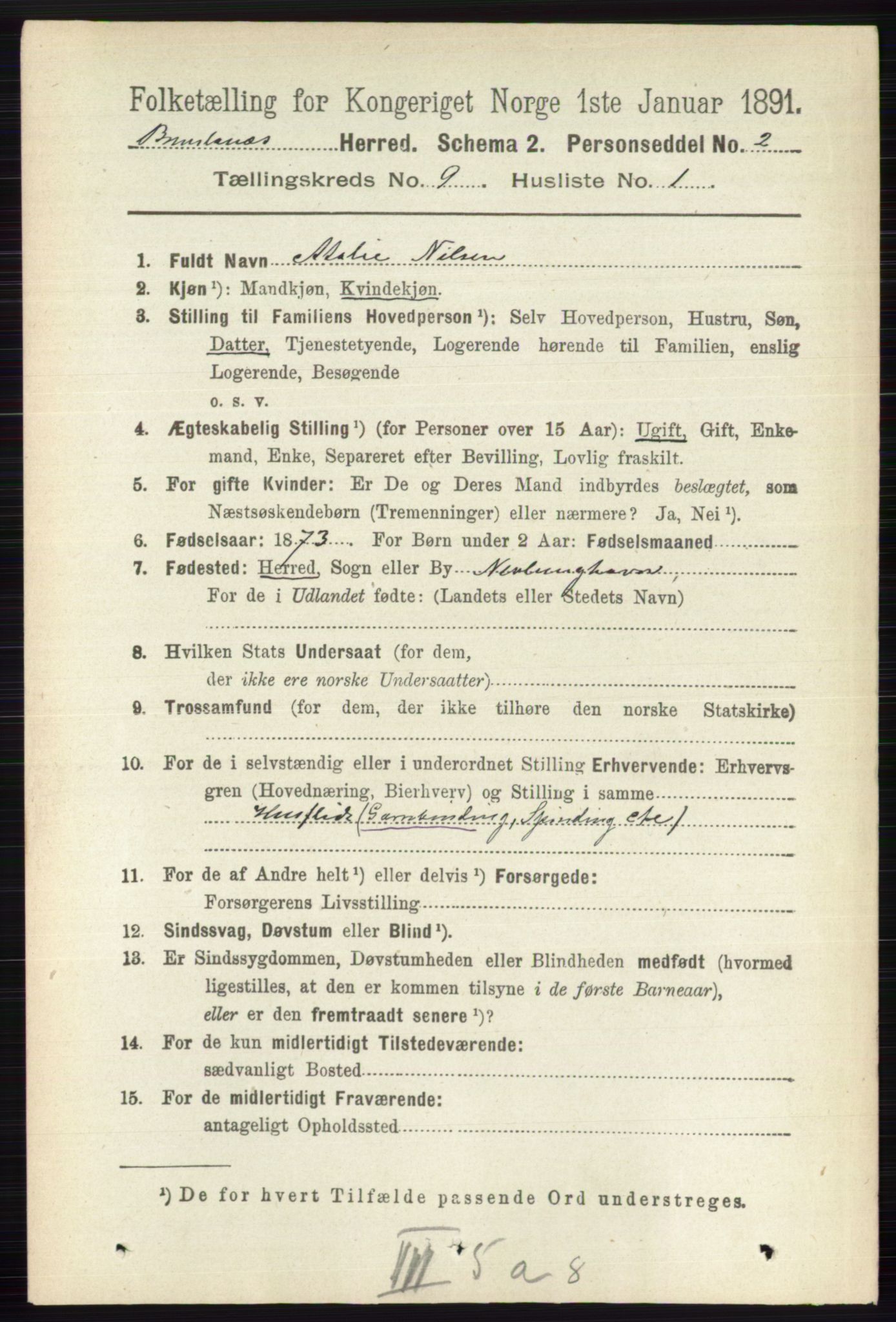 RA, 1891 census for 0726 Brunlanes, 1891, p. 4136