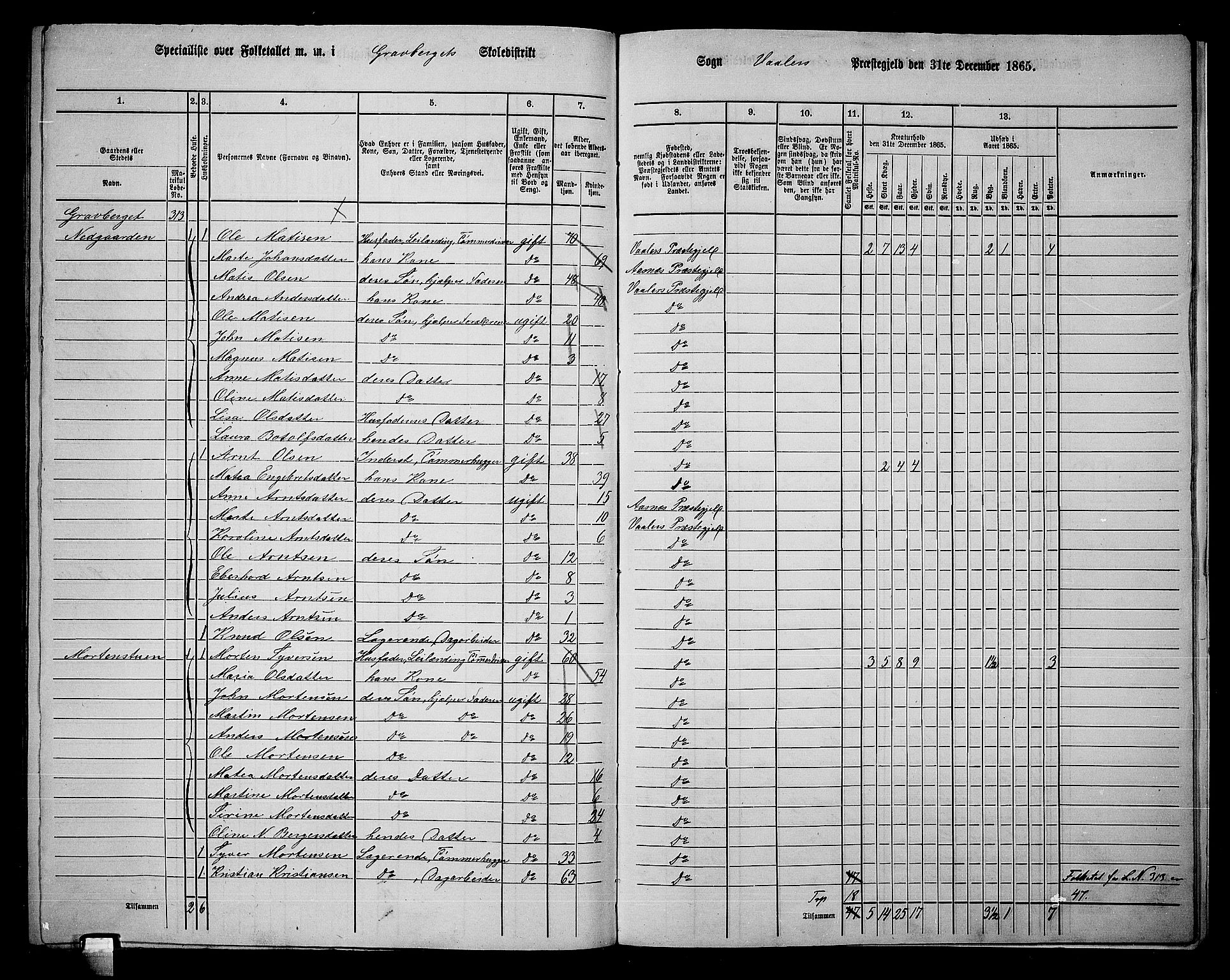 RA, 1865 census for Våler, 1865, p. 157