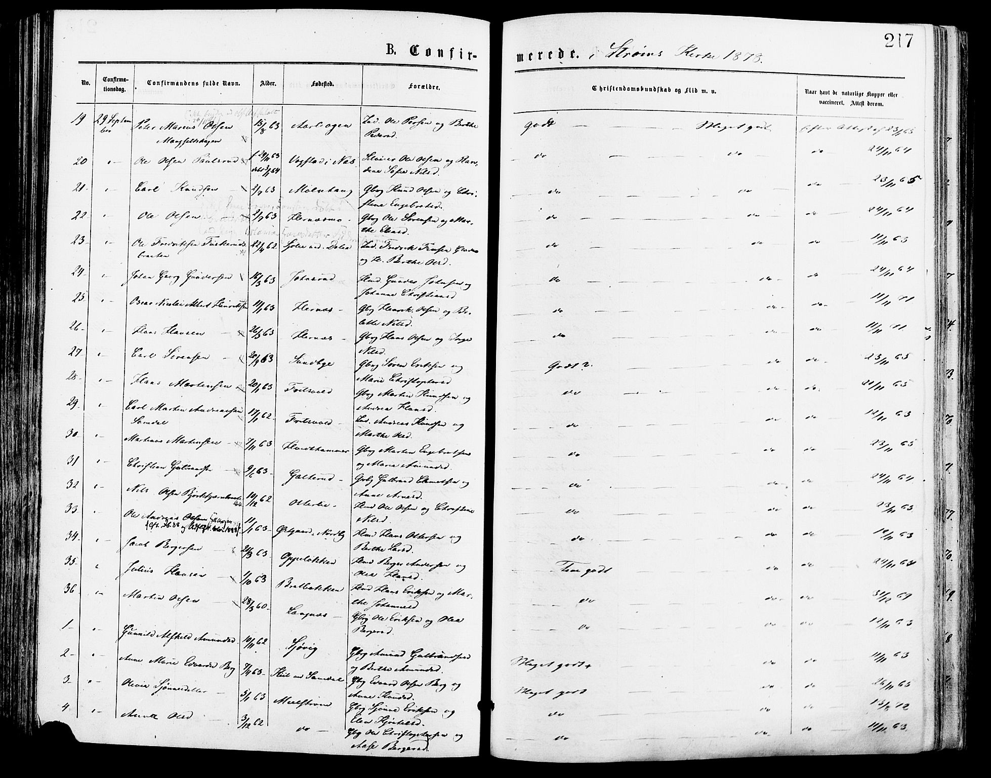 Sør-Odal prestekontor, SAH/PREST-030/H/Ha/Haa/L0005: Parish register (official) no. 5, 1876-1885, p. 217