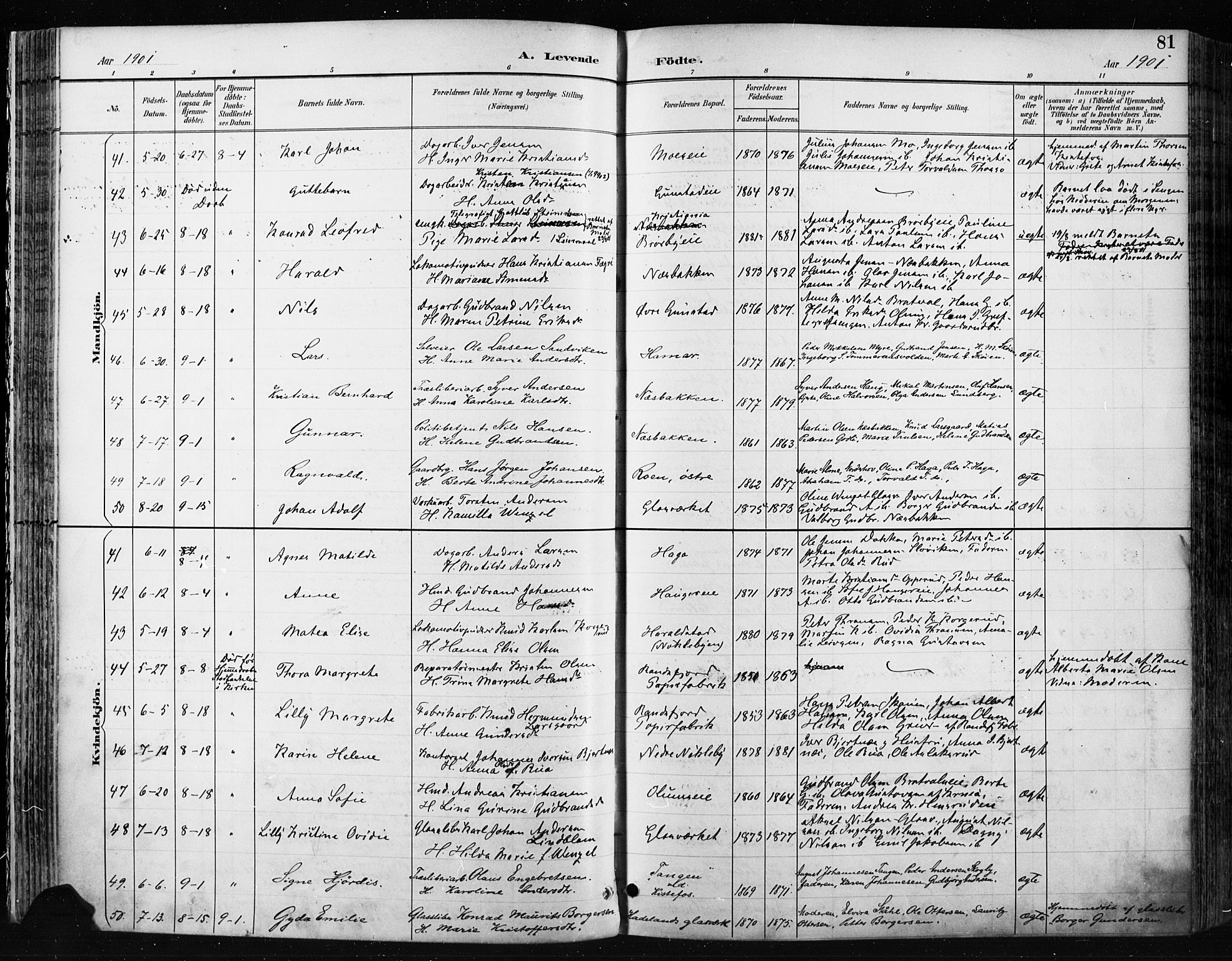 Jevnaker prestekontor, AV/SAH-PREST-116/H/Ha/Haa/L0009: Parish register (official) no. 9, 1891-1901, p. 81