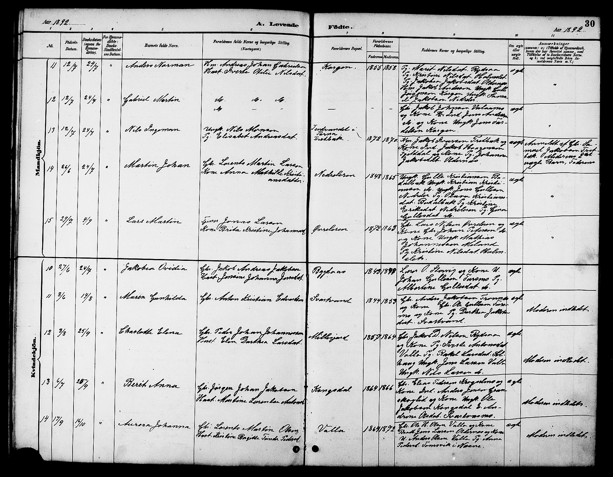 Ministerialprotokoller, klokkerbøker og fødselsregistre - Nordland, AV/SAT-A-1459/826/L0383: Parish register (copy) no. 826C03, 1887-1896, p. 30