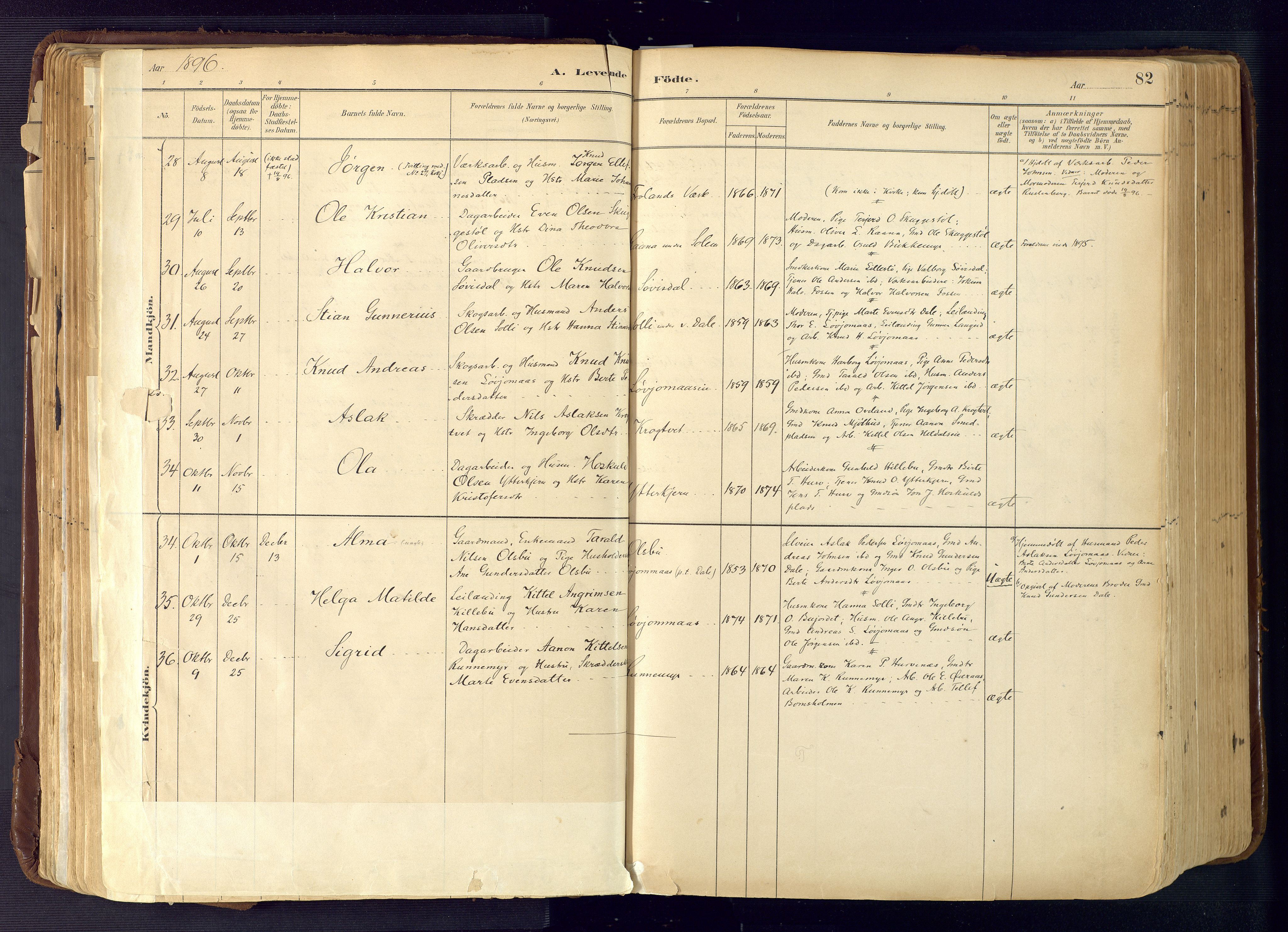 Froland sokneprestkontor, AV/SAK-1111-0013/F/Fa/L0005: Parish register (official) no. A 5, 1882-1921, p. 82