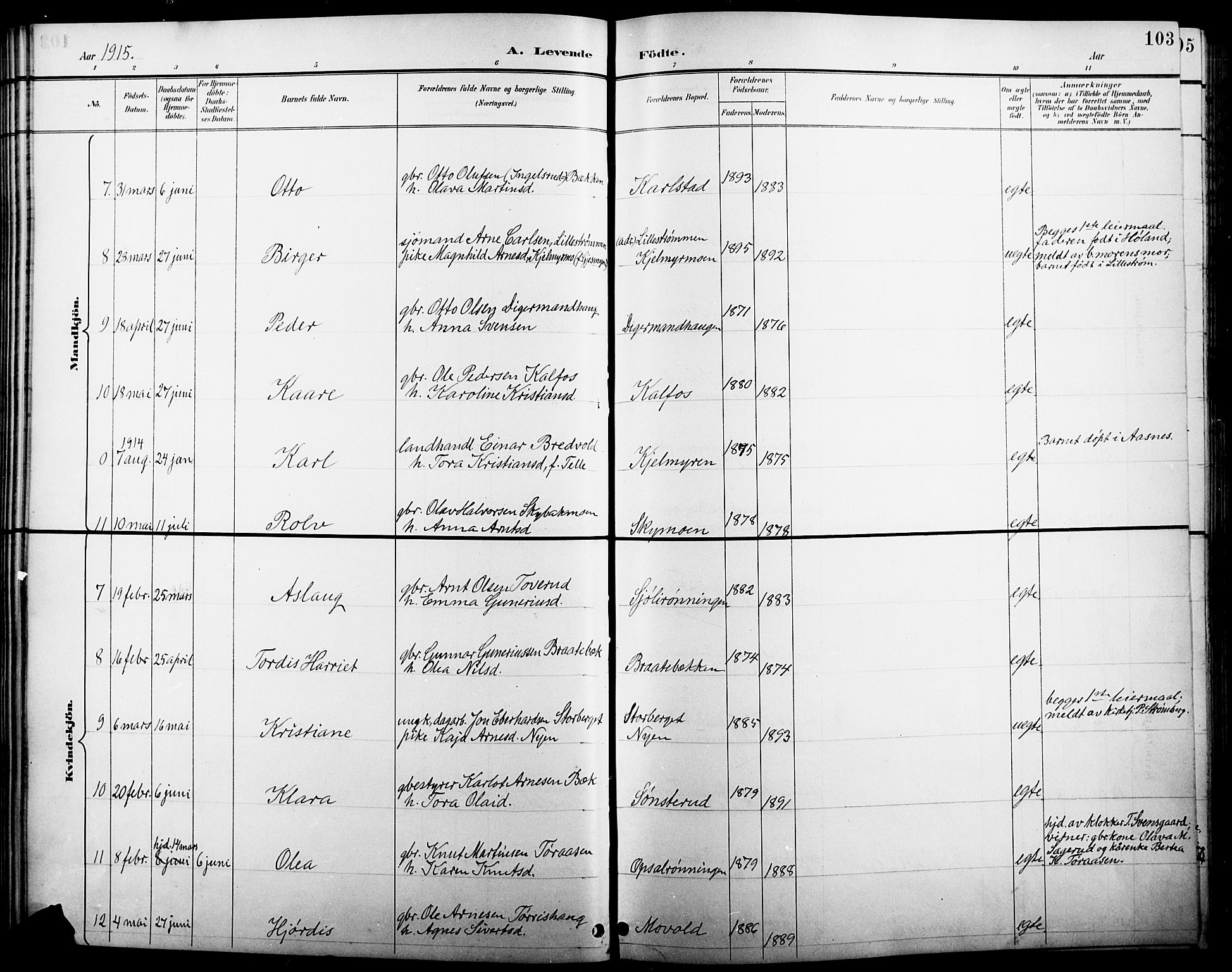 Åsnes prestekontor, AV/SAH-PREST-042/H/Ha/Hab/L0005: Parish register (copy) no. 5, 1895-1920, p. 103