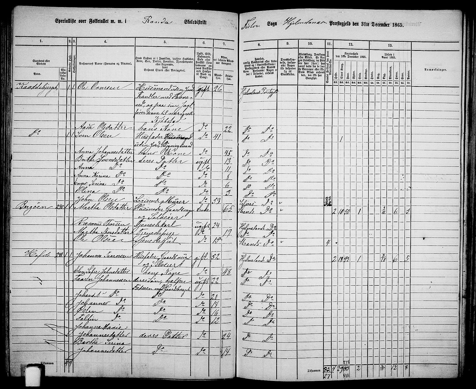 RA, 1865 census for Hjelmeland, 1865, p. 143