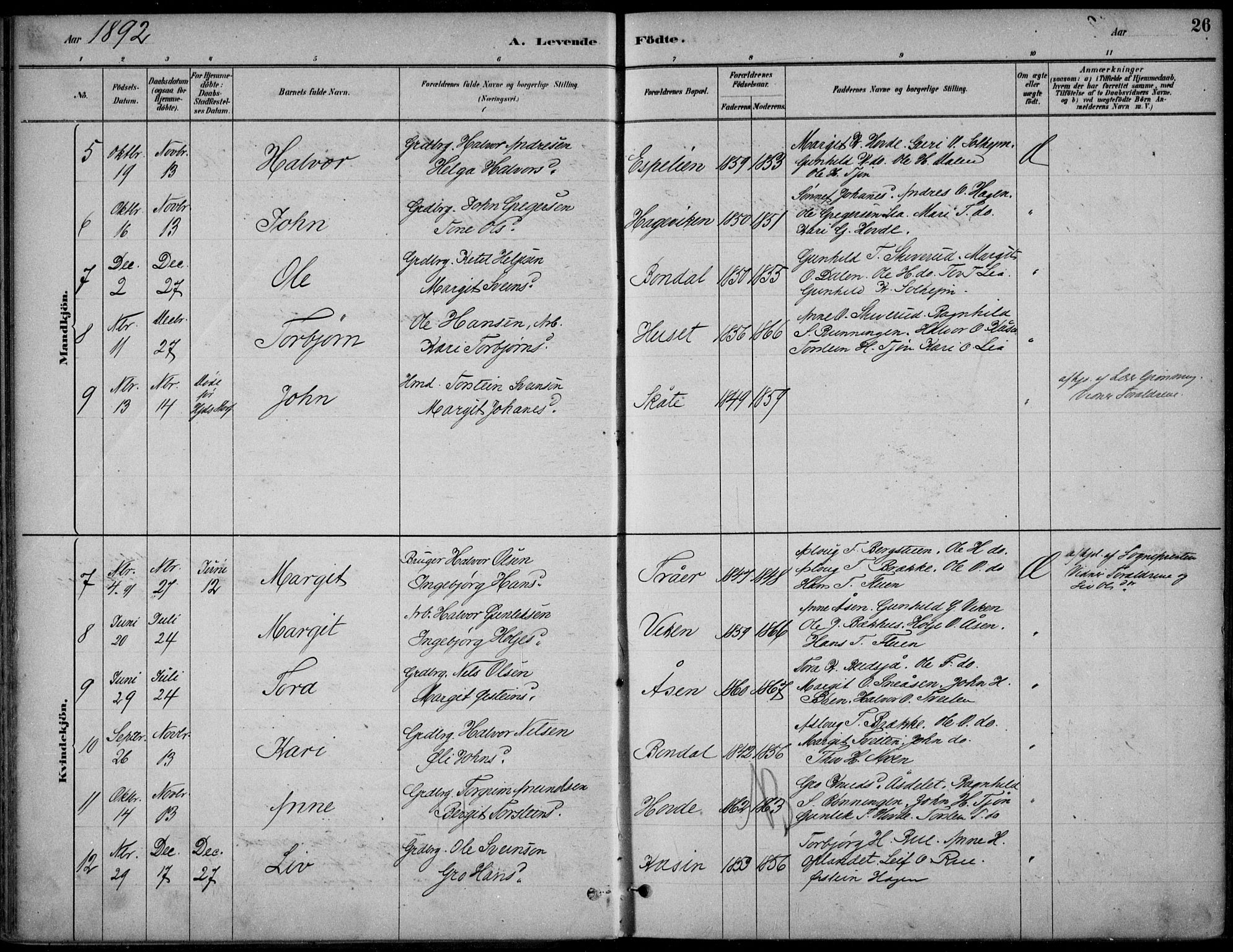 Hjartdal kirkebøker, SAKO/A-270/F/Fc/L0002: Parish register (official) no. III 2, 1880-1936, p. 26