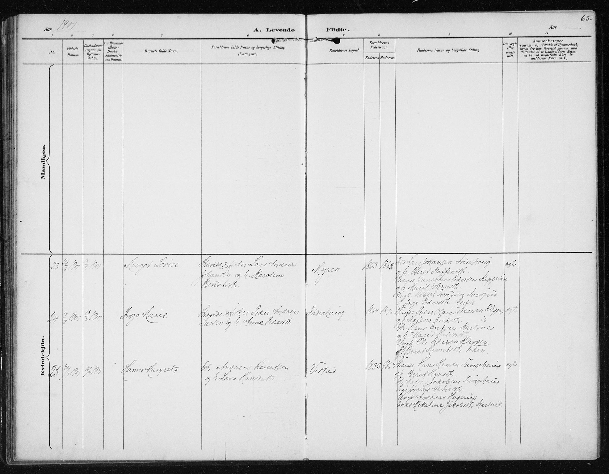 Ministerialprotokoller, klokkerbøker og fødselsregistre - Møre og Romsdal, AV/SAT-A-1454/566/L0773: Parish register (copy) no. 566C02, 1892-1909, p. 65