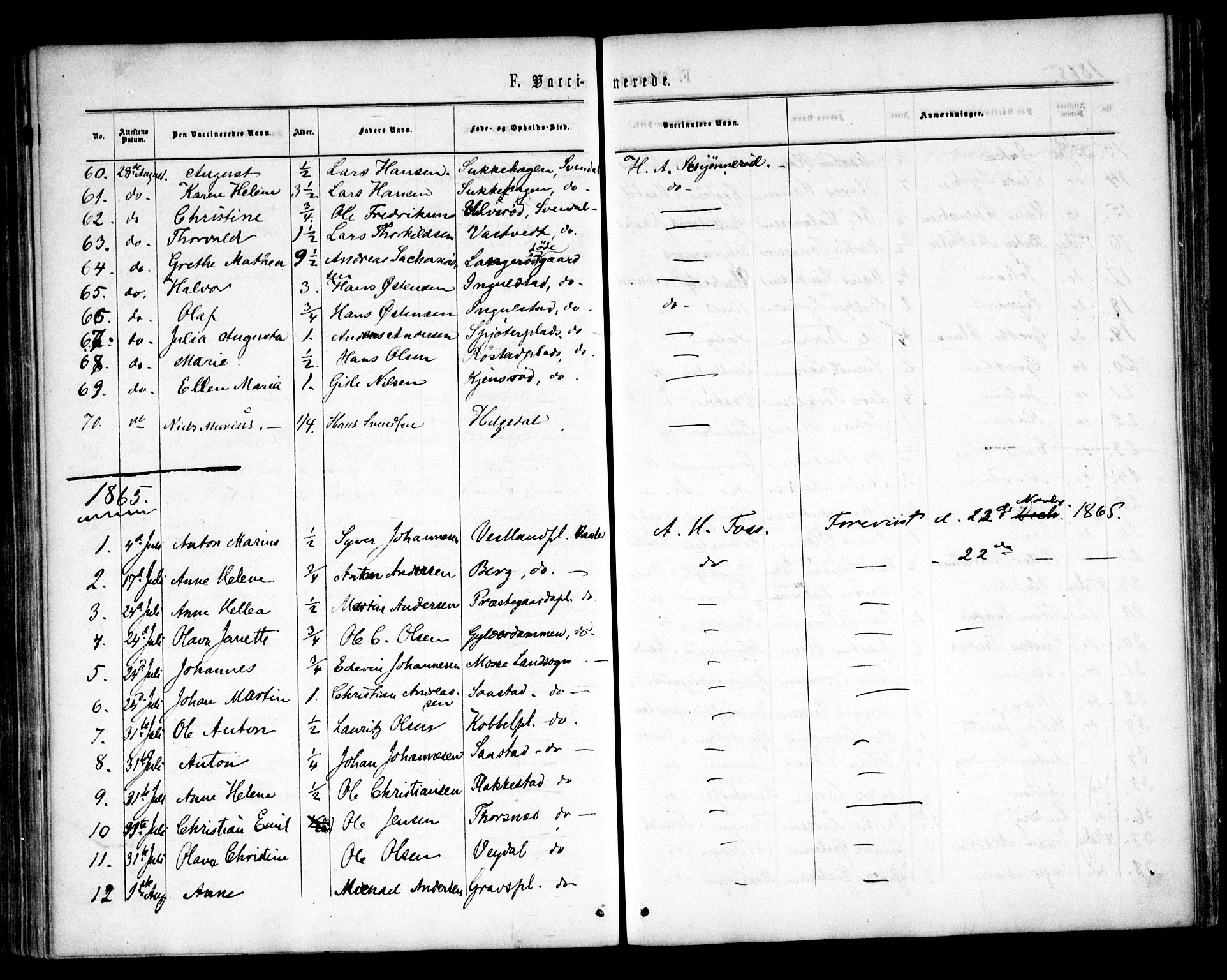 Våler prestekontor Kirkebøker, AV/SAO-A-11083/F/Fa/L0008: Parish register (official) no. I 8, 1862-1876