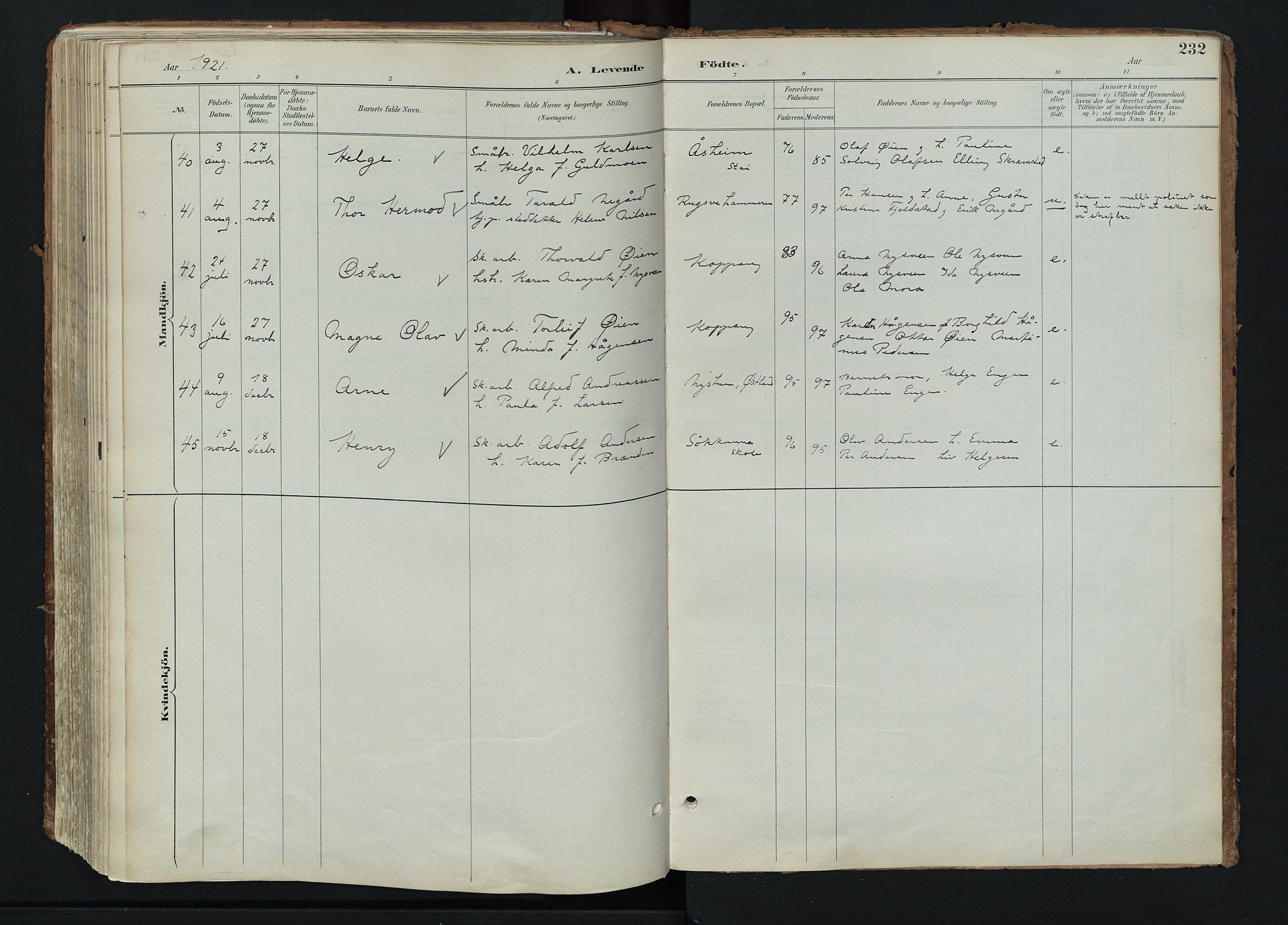 Stor-Elvdal prestekontor, AV/SAH-PREST-052/H/Ha/Haa/L0004: Parish register (official) no. 4, 1890-1922, p. 232