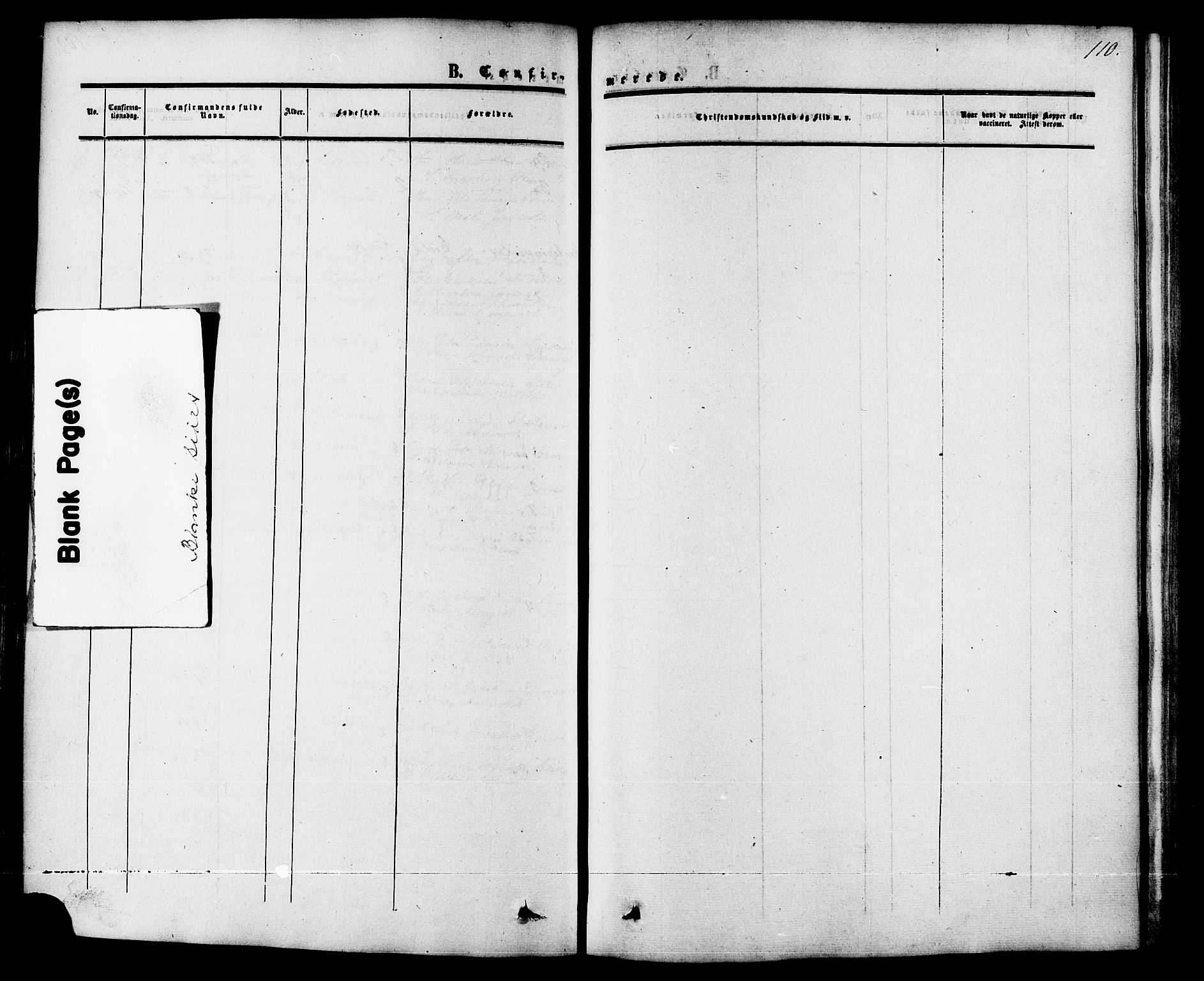 Ministerialprotokoller, klokkerbøker og fødselsregistre - Møre og Romsdal, AV/SAT-A-1454/542/L0552: Parish register (official) no. 542A02, 1854-1884, p. 110