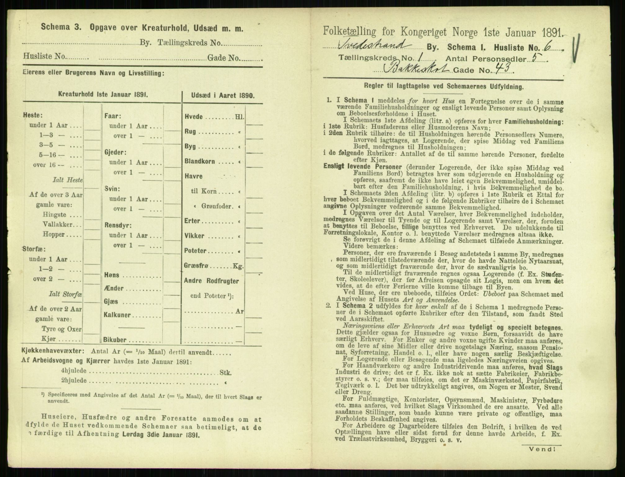 RA, 1891 census for 0902 Tvedestrand, 1891, p. 24