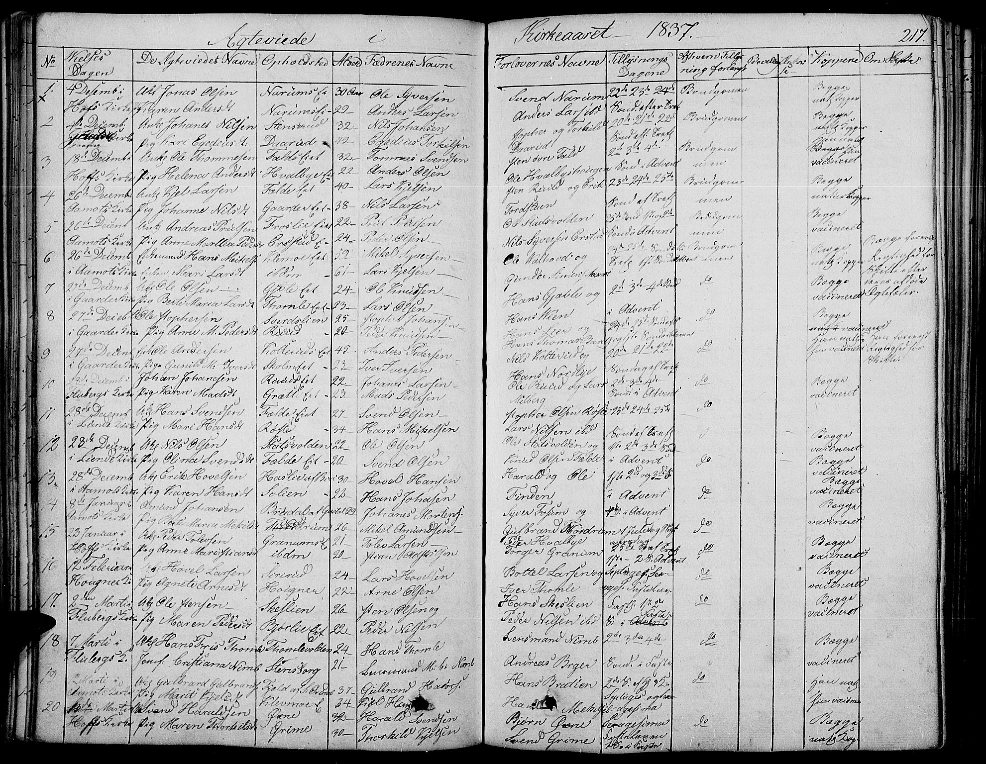 Land prestekontor, SAH/PREST-120/H/Ha/Haa/L0008: Parish register (official) no. 8, 1830-1846, p. 217