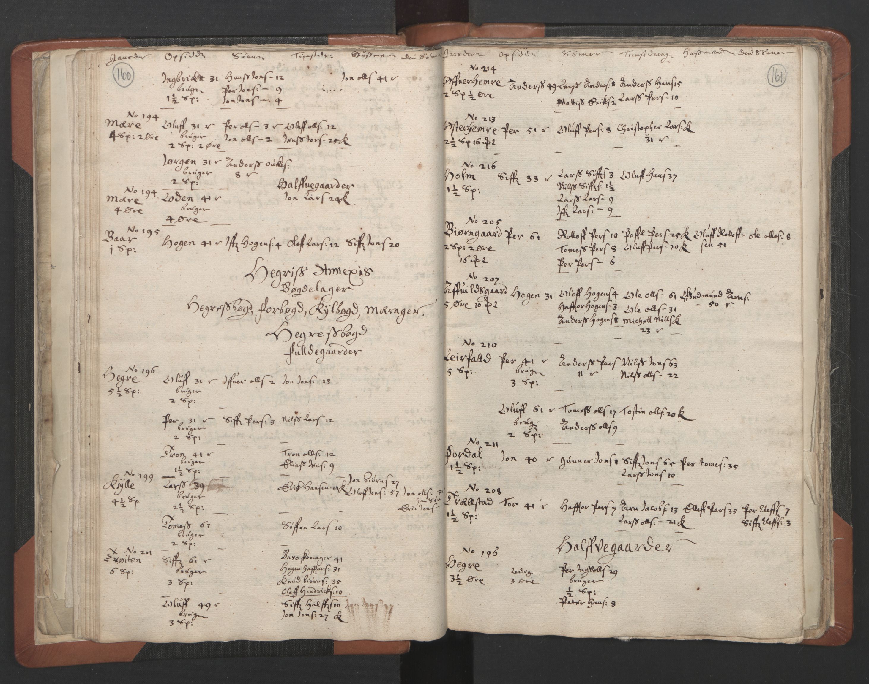 RA, Vicar's Census 1664-1666, no. 32: Innherad deanery, 1664-1666, p. 160-161