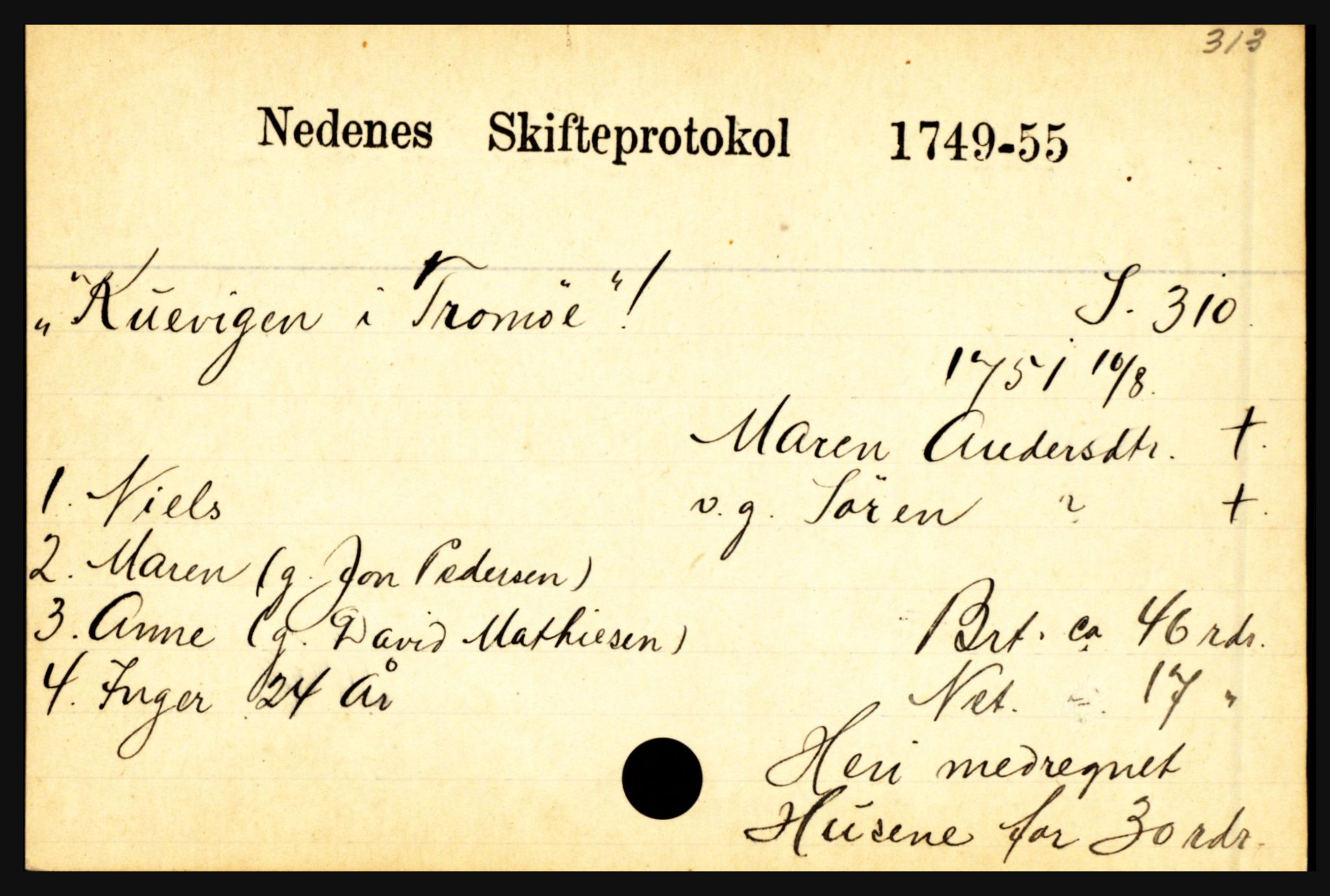 Nedenes sorenskriveri før 1824, AV/SAK-1221-0007/H, p. 16253