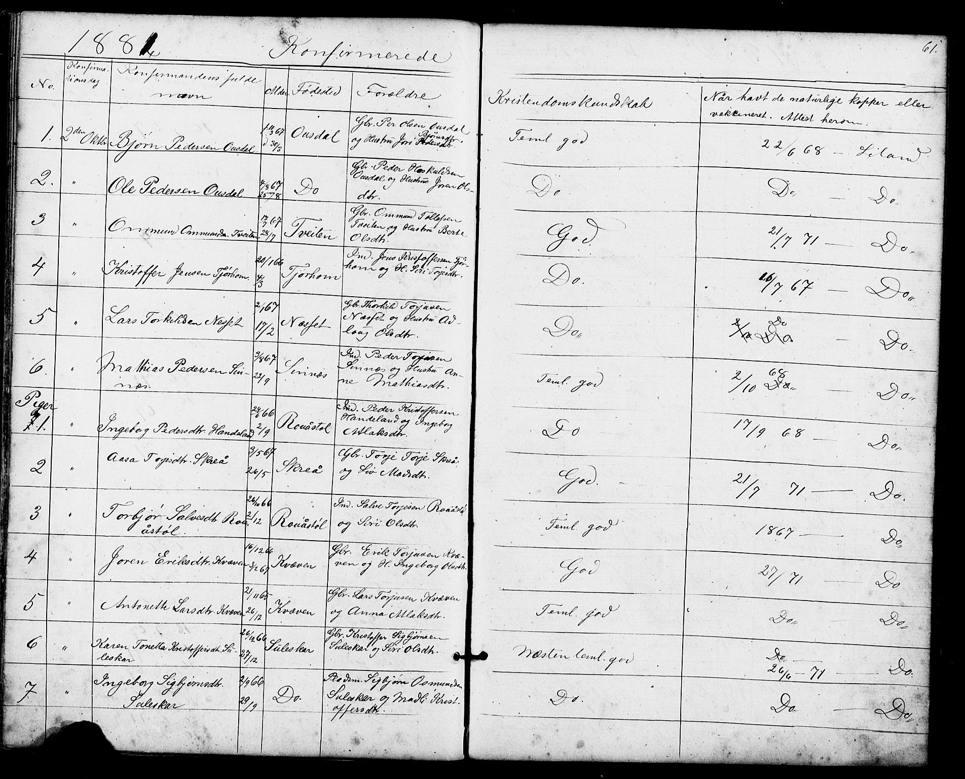 Sirdal sokneprestkontor, SAK/1111-0036/F/Fb/Fba/L0001: Parish register (copy) no. B 1, 1872-1905, p. 61