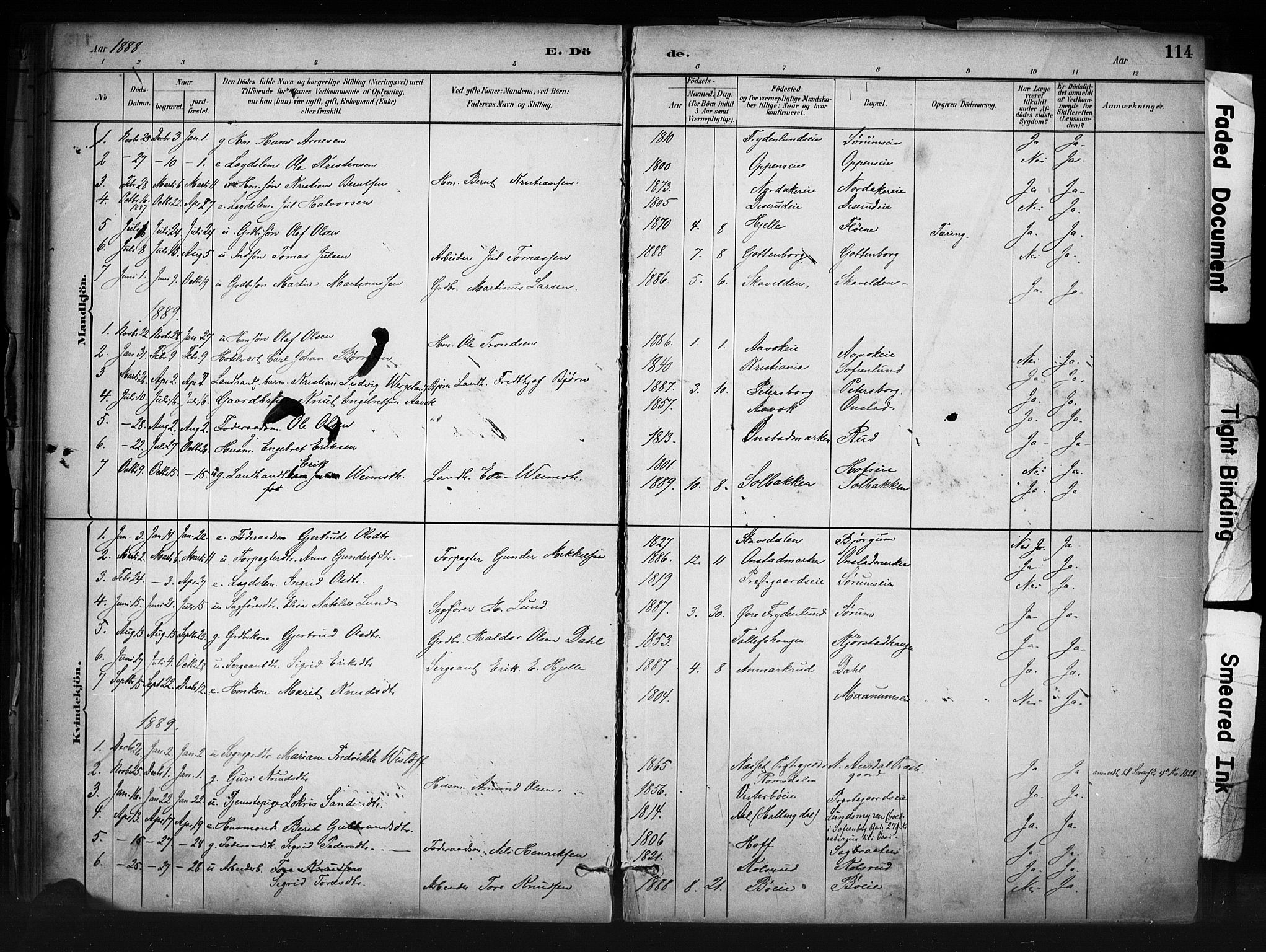 Nord-Aurdal prestekontor, SAH/PREST-132/H/Ha/Haa/L0013: Parish register (official) no. 13, 1883-1895, p. 114