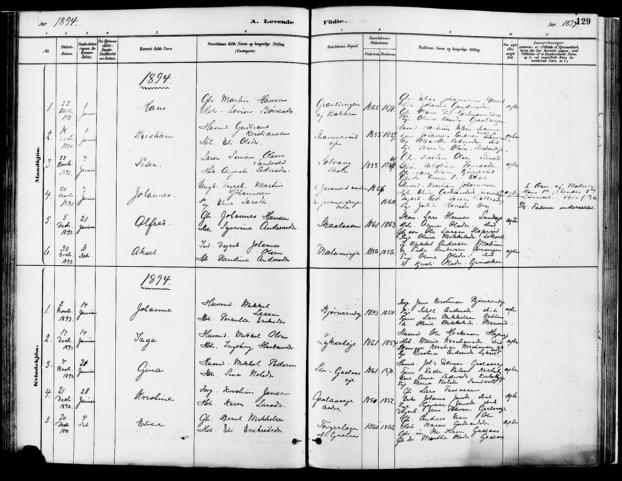 Vang prestekontor, Hedmark, SAH/PREST-008/H/Ha/Haa/L0018A: Parish register (official) no. 18A, 1880-1906, p. 129