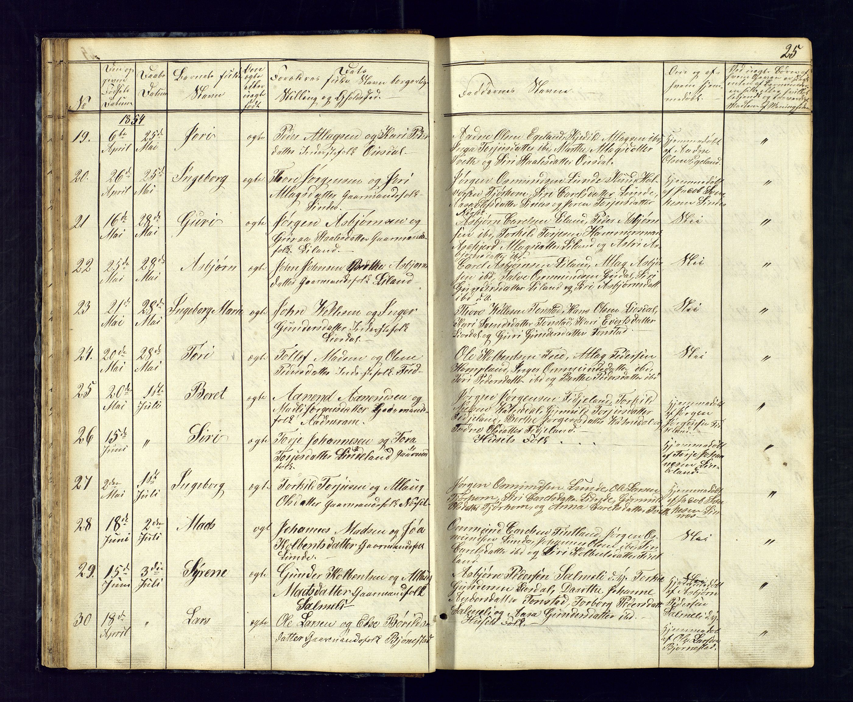 Sirdal sokneprestkontor, SAK/1111-0036/F/Fb/Fbb/L0002: Parish register (copy) no. B-2, 1848-1878, p. 25