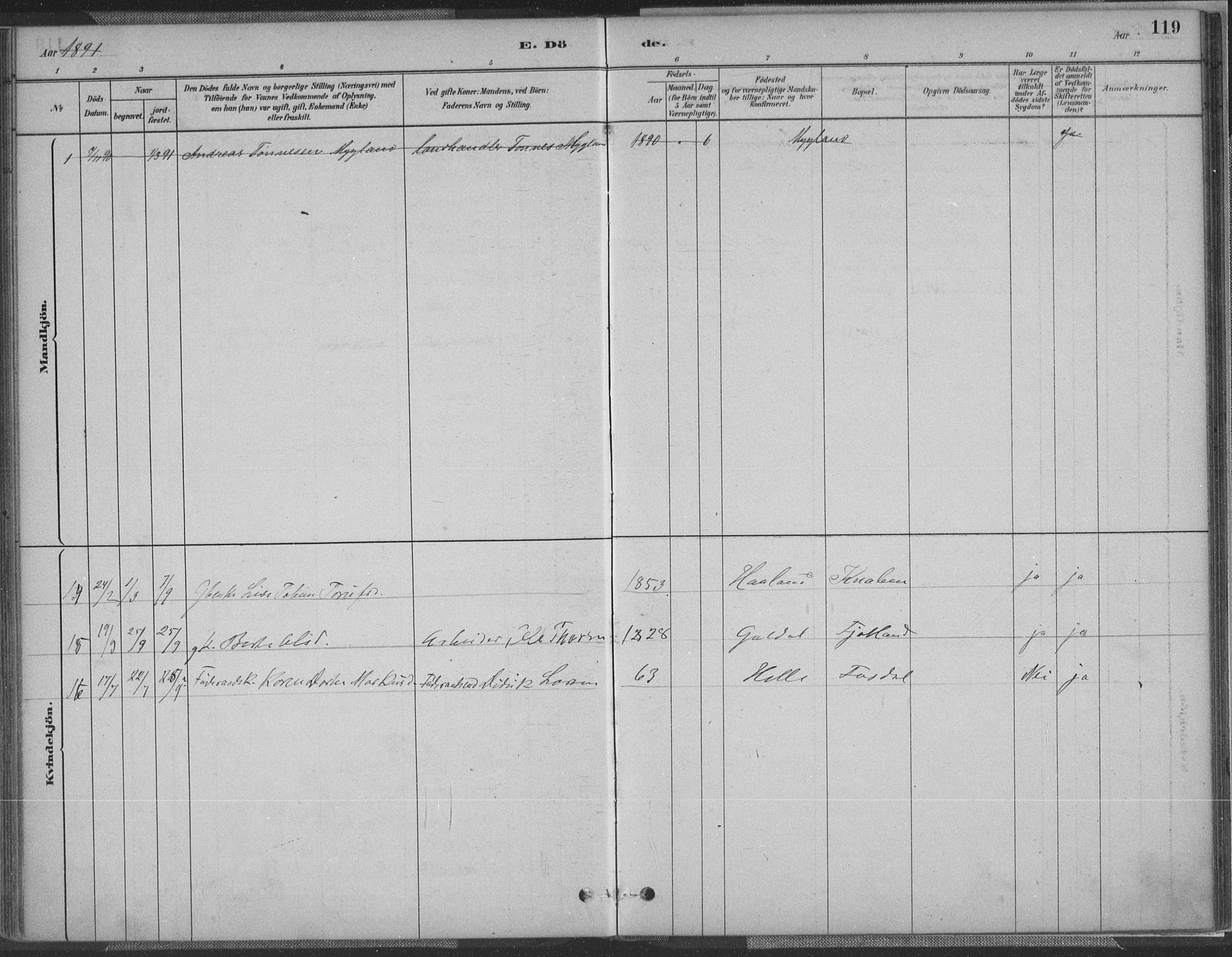 Fjotland sokneprestkontor, AV/SAK-1111-0010/F/Fa/L0002: Parish register (official) no. A 2, 1880-1898, p. 119