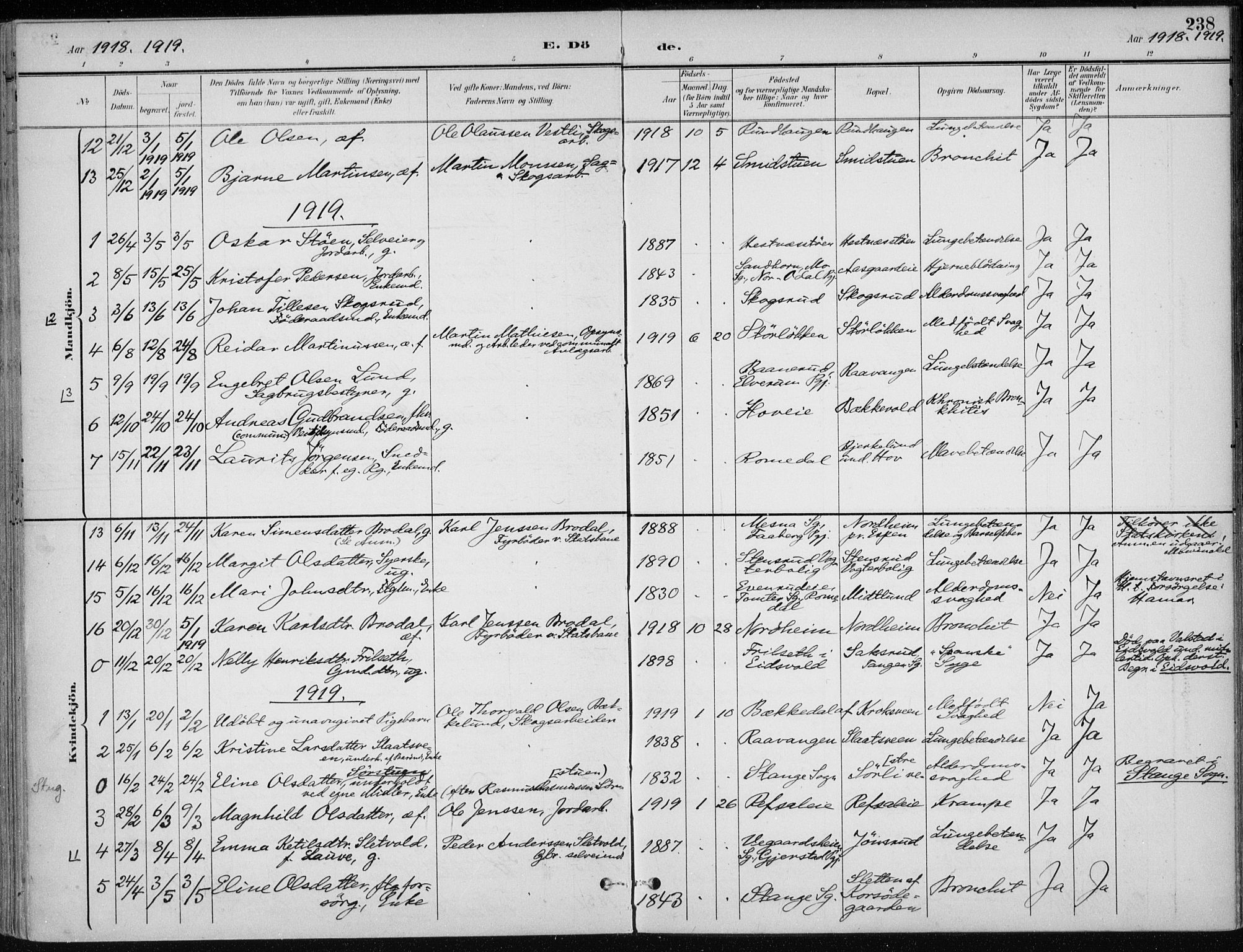 Stange prestekontor, SAH/PREST-002/K/L0023: Parish register (official) no. 23, 1897-1920, p. 238