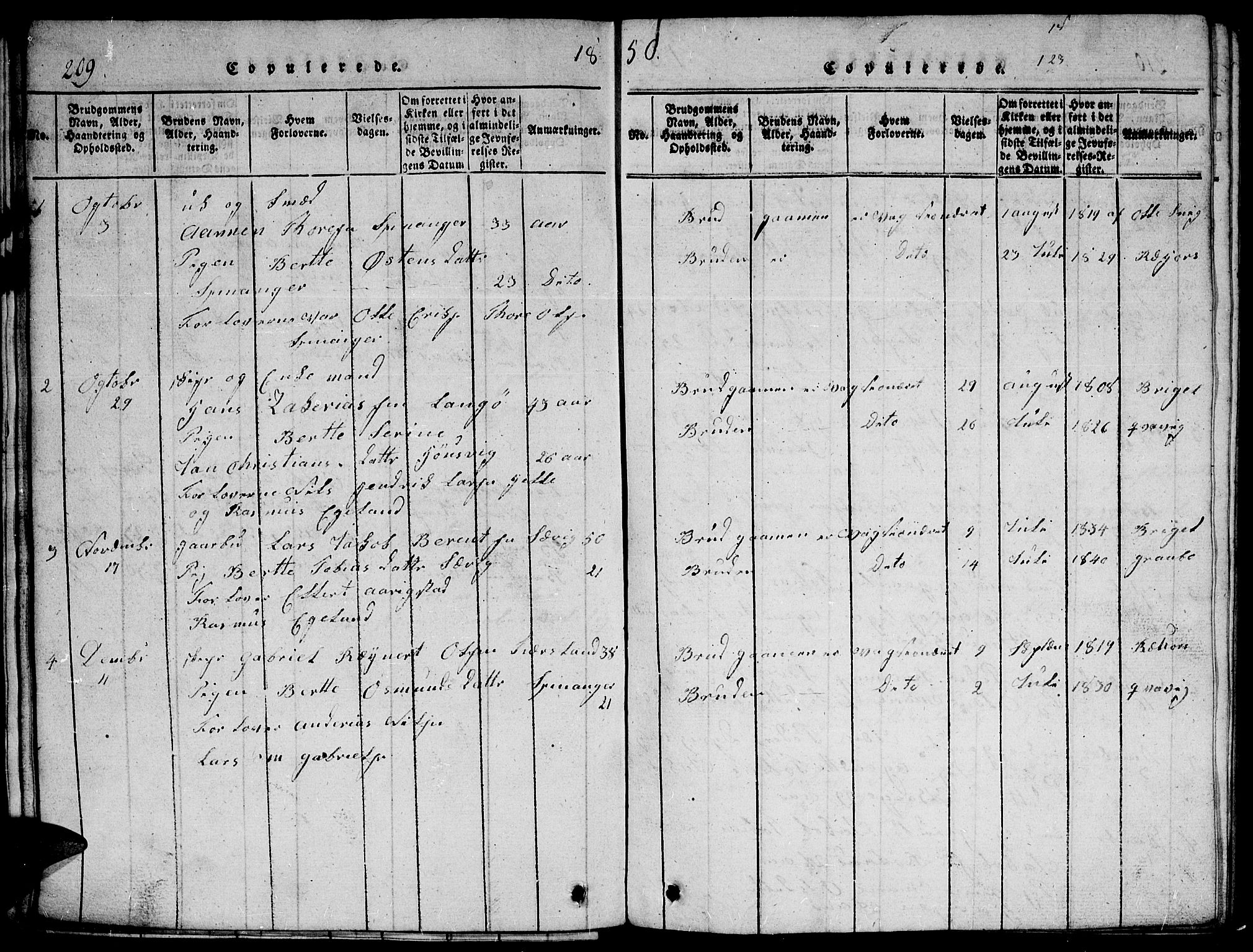 Herad sokneprestkontor, SAK/1111-0018/F/Fb/Fbb/L0001: Parish register (copy) no. B 1, 1815-1852, p. 209
