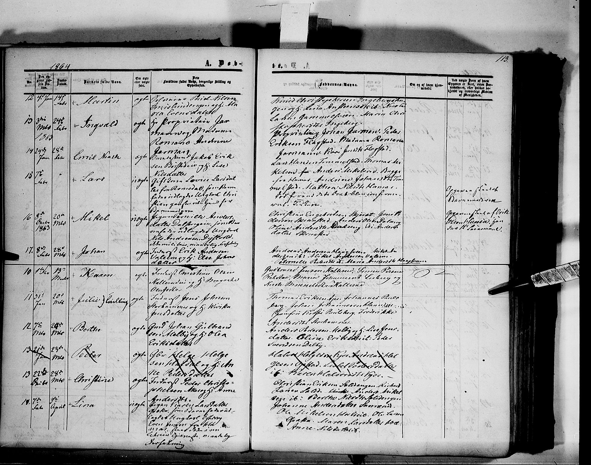 Vang prestekontor, Hedmark, AV/SAH-PREST-008/H/Ha/Haa/L0012: Parish register (official) no. 12, 1855-1870, p. 113