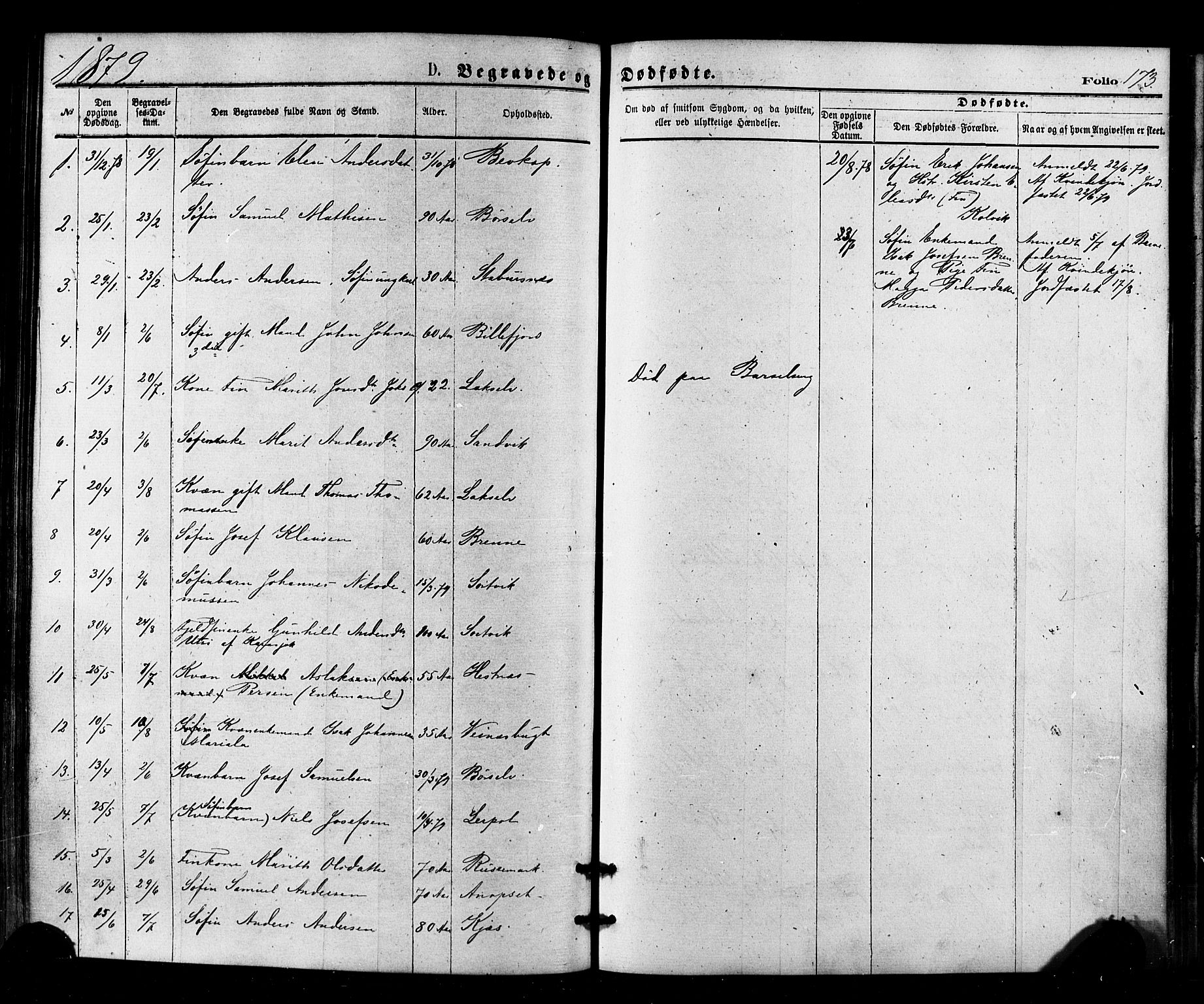 Kistrand/Porsanger sokneprestembete, SATØ/S-1351/H/Ha/L0006.kirke: Parish register (official) no. 6, 1875-1880, p. 173