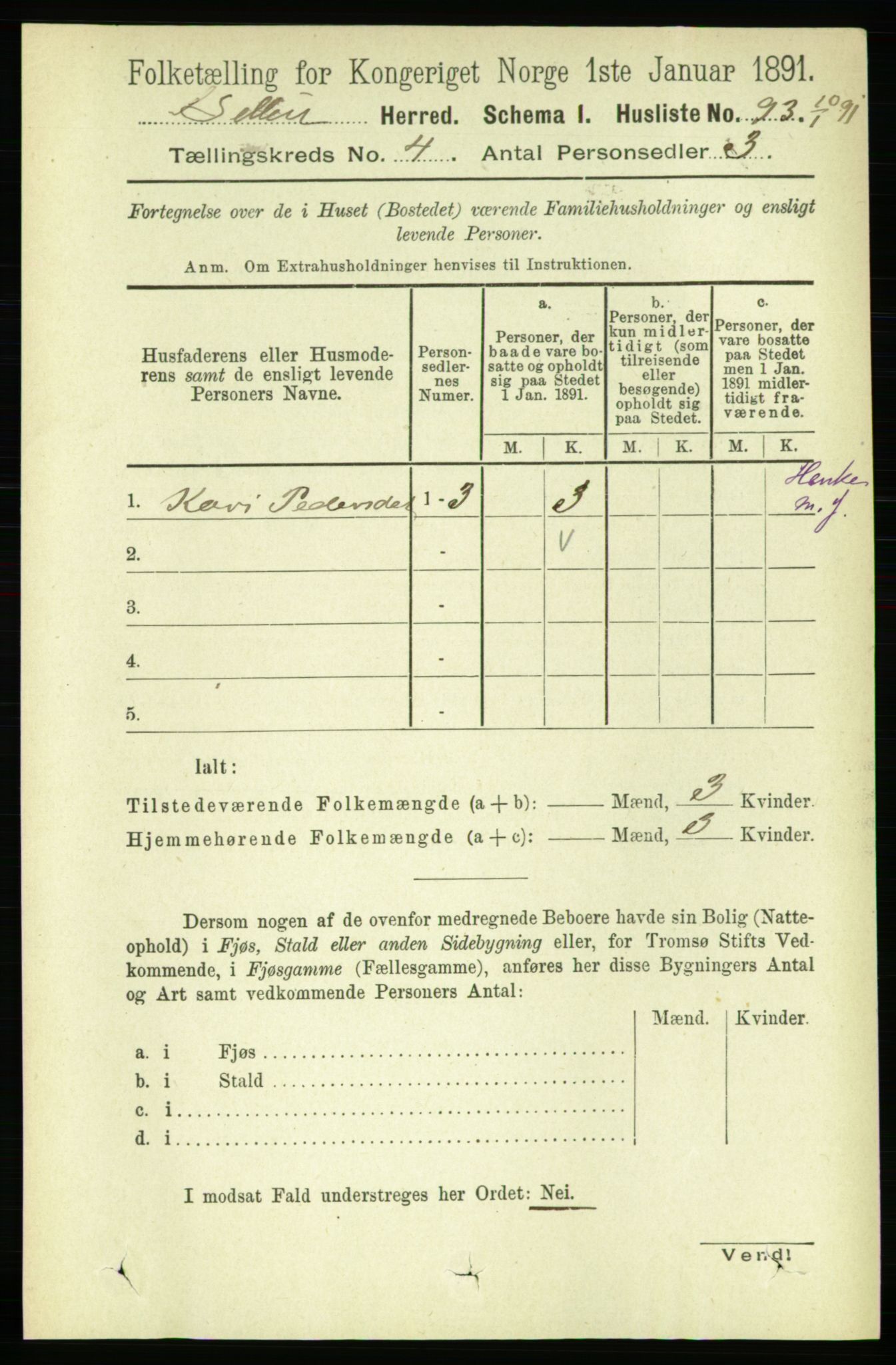 RA, 1891 census for 1664 Selbu, 1891, p. 1053