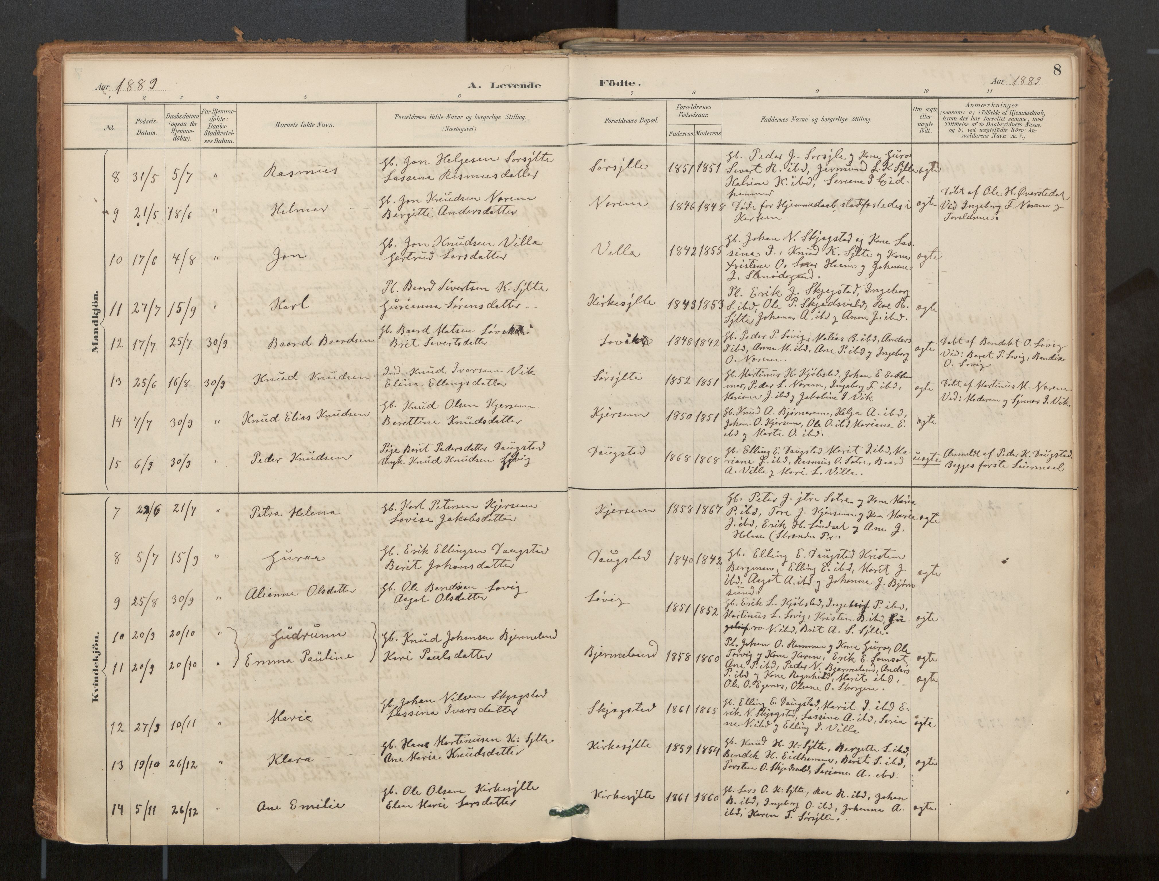 Ministerialprotokoller, klokkerbøker og fødselsregistre - Møre og Romsdal, AV/SAT-A-1454/541/L0545a: Parish register (official) no. 541A03, 1887-1912, p. 8