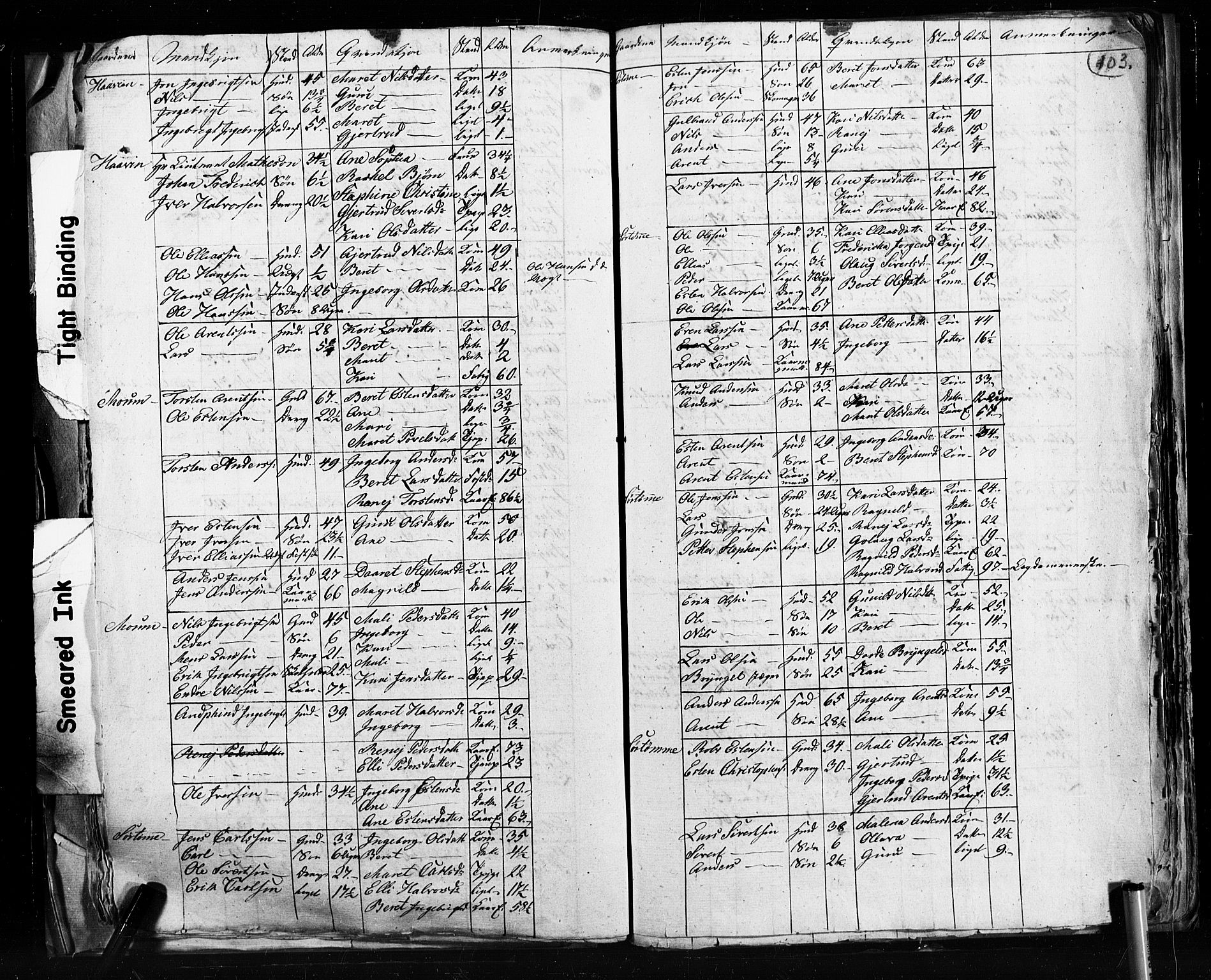 , 1825 Census for Støren parish, 1825, p. 103