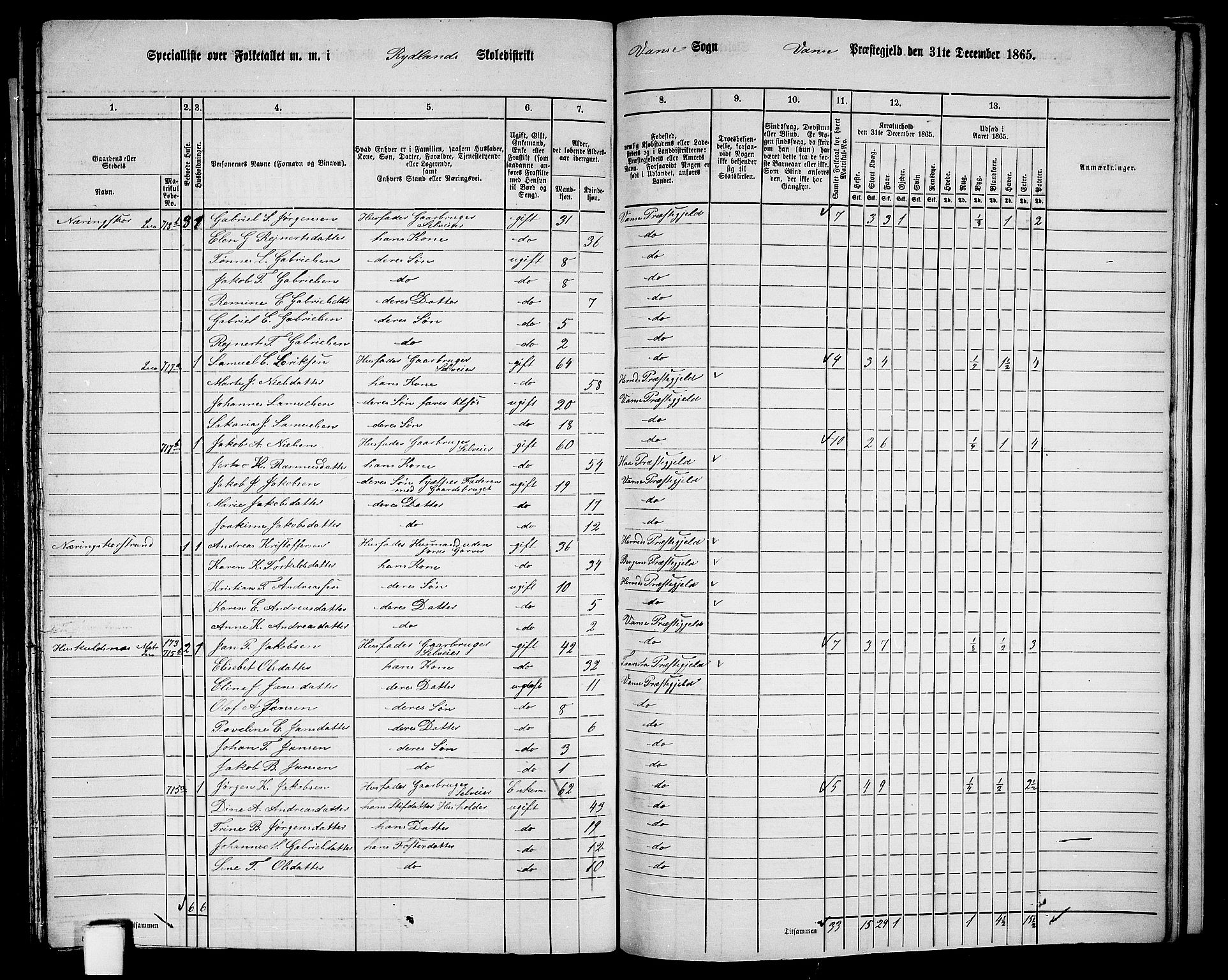 RA, 1865 census for Vanse/Vanse og Farsund, 1865, p. 244