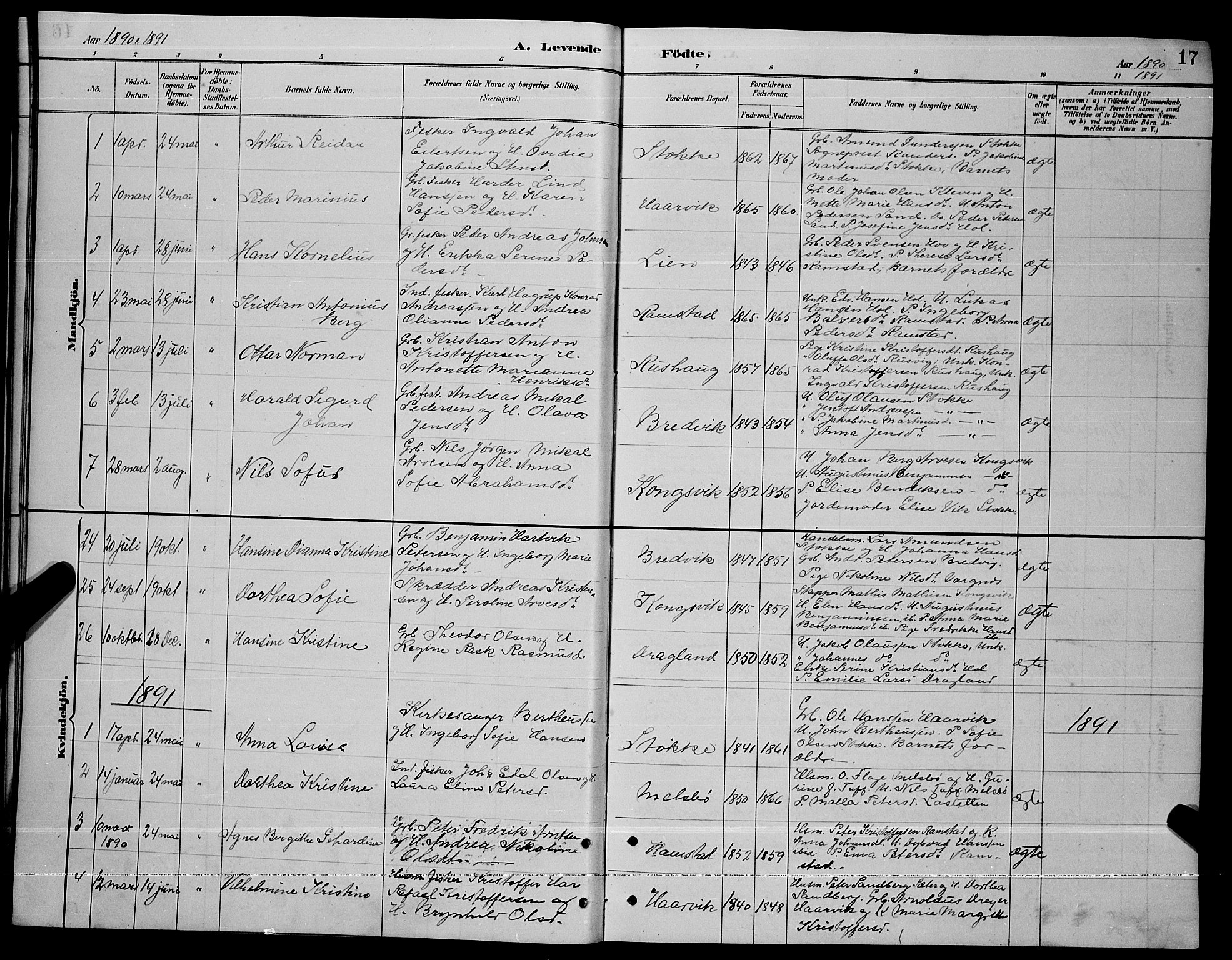 Ministerialprotokoller, klokkerbøker og fødselsregistre - Nordland, AV/SAT-A-1459/865/L0931: Parish register (copy) no. 865C03, 1885-1901, p. 17