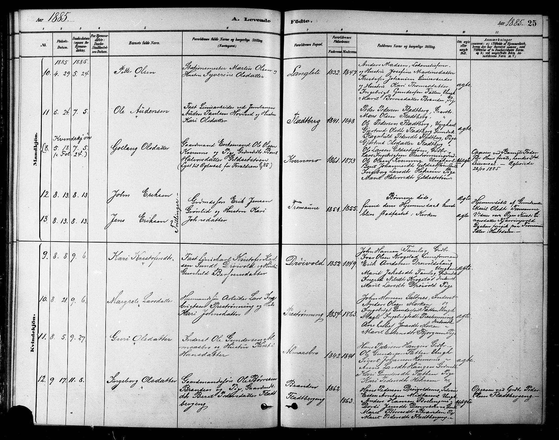 Ministerialprotokoller, klokkerbøker og fødselsregistre - Sør-Trøndelag, SAT/A-1456/685/L0972: Parish register (official) no. 685A09, 1879-1890, p. 25