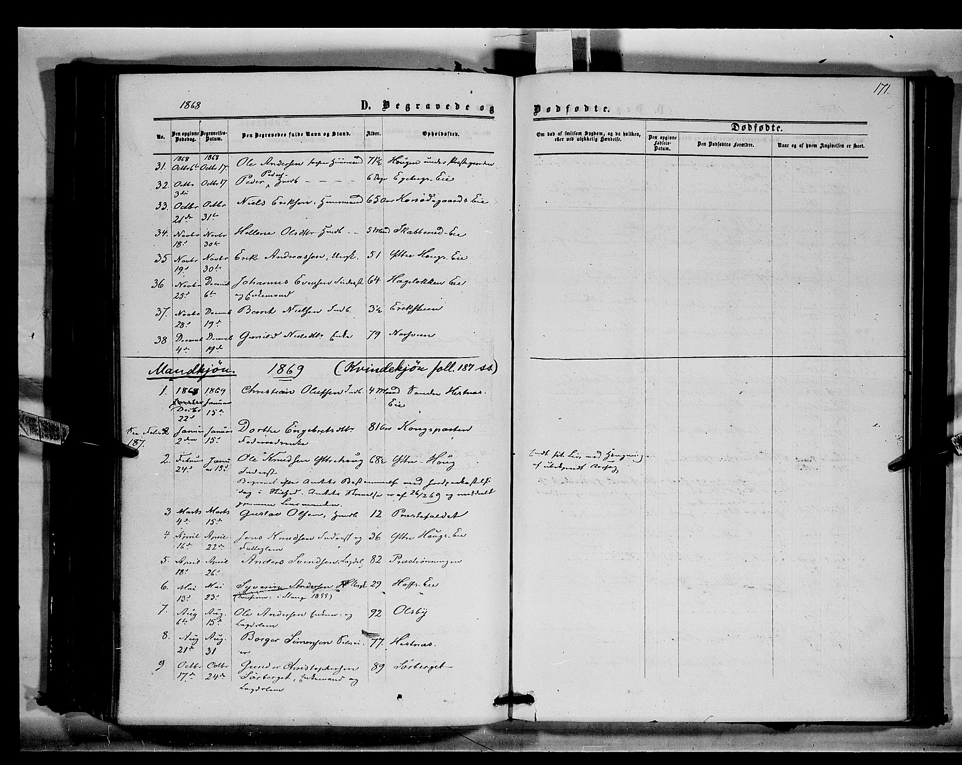 Stange prestekontor, SAH/PREST-002/K/L0014: Parish register (official) no. 14, 1862-1879, p. 171