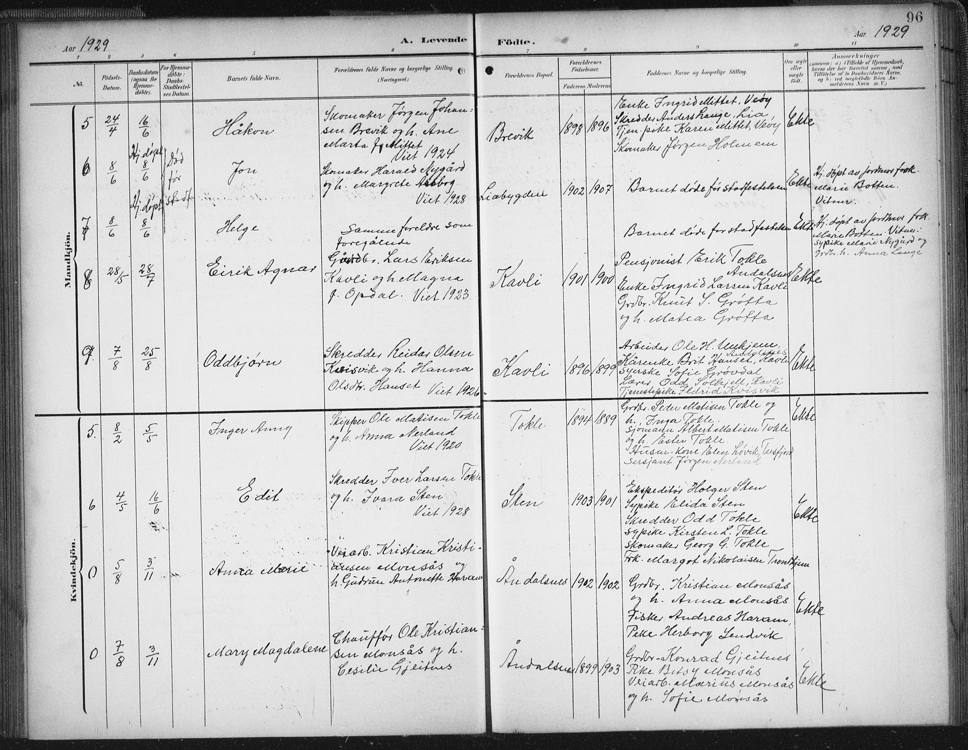 Ministerialprotokoller, klokkerbøker og fødselsregistre - Møre og Romsdal, SAT/A-1454/545/L0589: Parish register (copy) no. 545C03, 1902-1937, p. 96