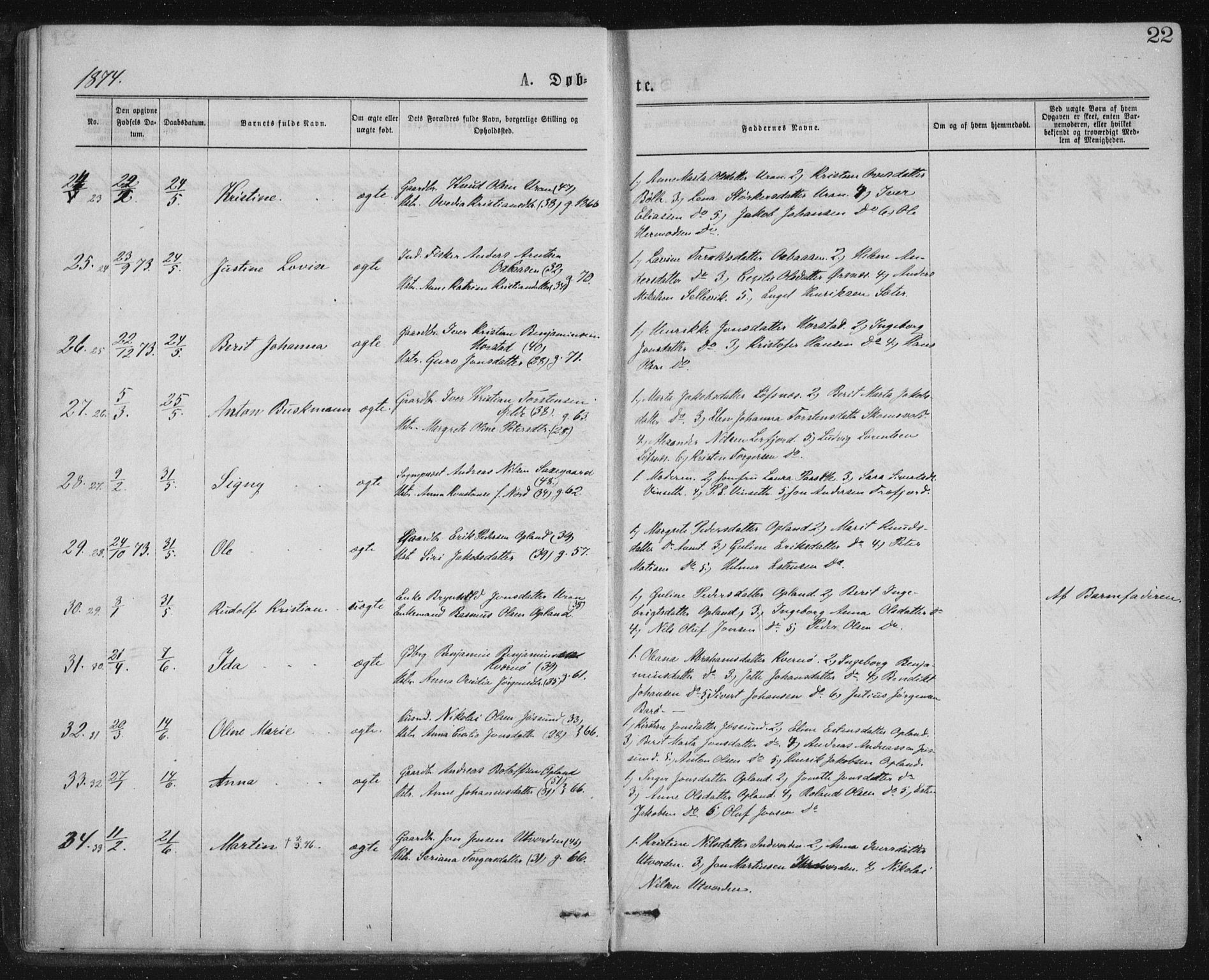 Ministerialprotokoller, klokkerbøker og fødselsregistre - Nord-Trøndelag, SAT/A-1458/771/L0596: Parish register (official) no. 771A03, 1870-1884, p. 22