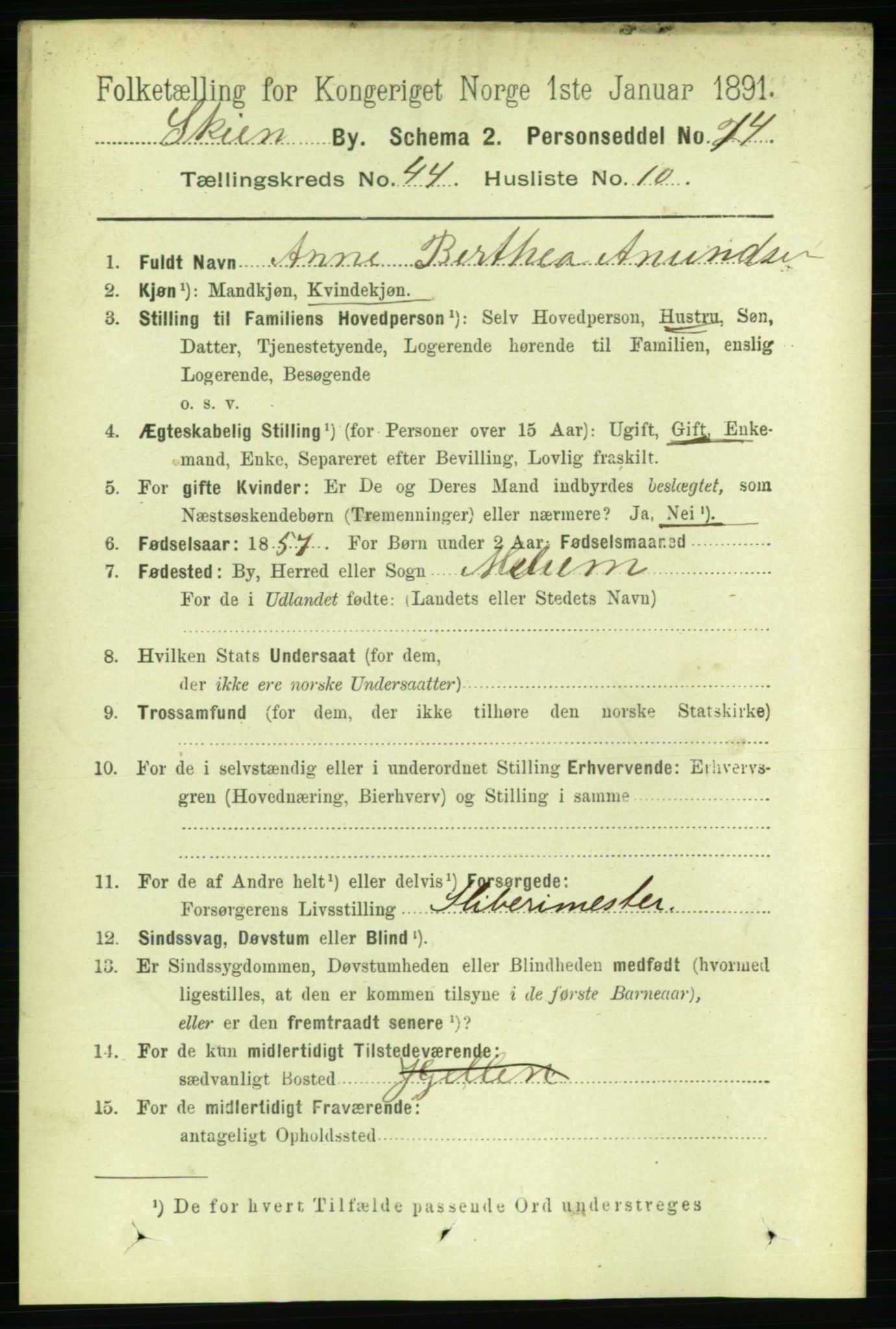 RA, 1891 census for 0806 Skien, 1891, p. 8882