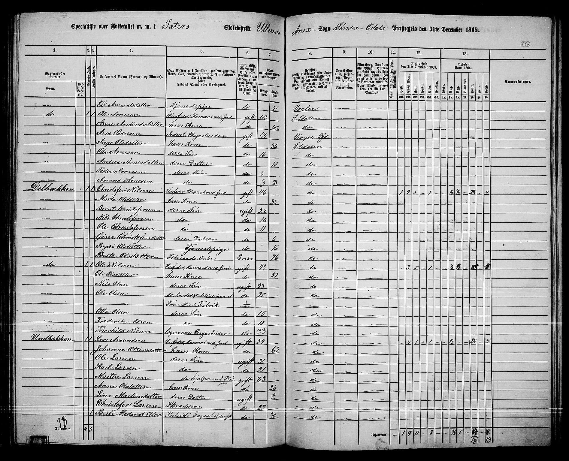 RA, 1865 census for Sør-Odal, 1865, p. 226