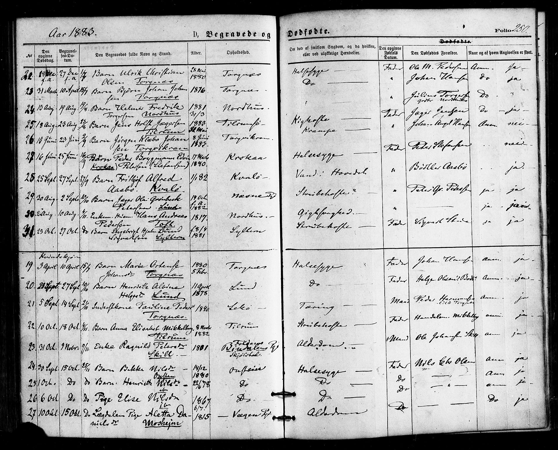 Ministerialprotokoller, klokkerbøker og fødselsregistre - Nordland, AV/SAT-A-1459/813/L0199: Parish register (official) no. 813A09, 1875-1885, p. 250