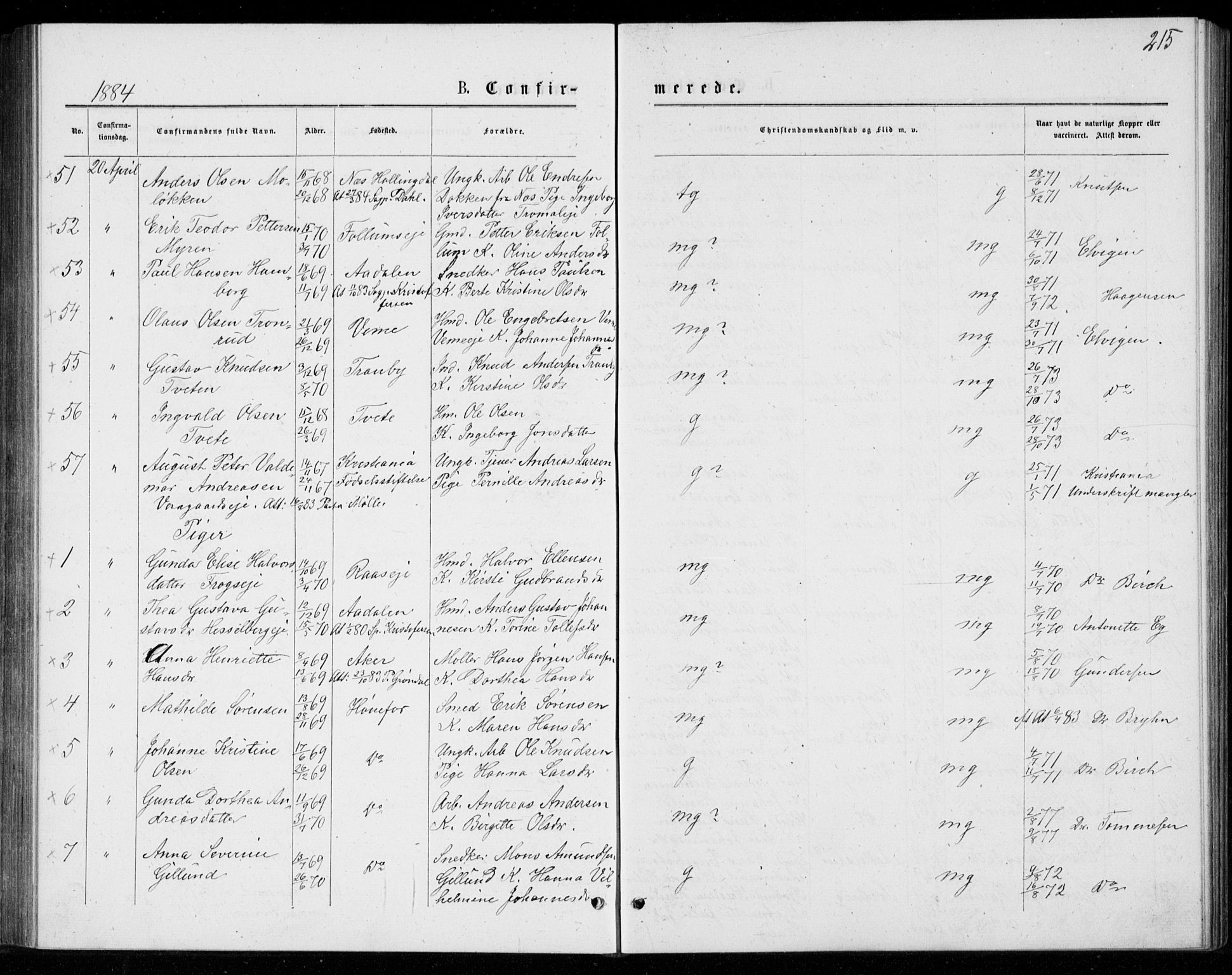 Norderhov kirkebøker, AV/SAKO-A-237/G/Ga/L0007: Parish register (copy) no. I 7, 1877-1887, p. 215