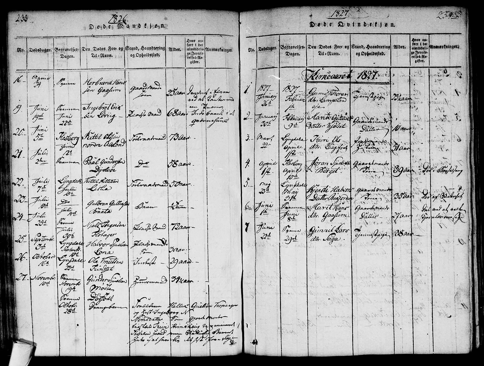 Flesberg kirkebøker, SAKO/A-18/G/Ga/L0001: Parish register (copy) no. I 1, 1816-1834, p. 233-234