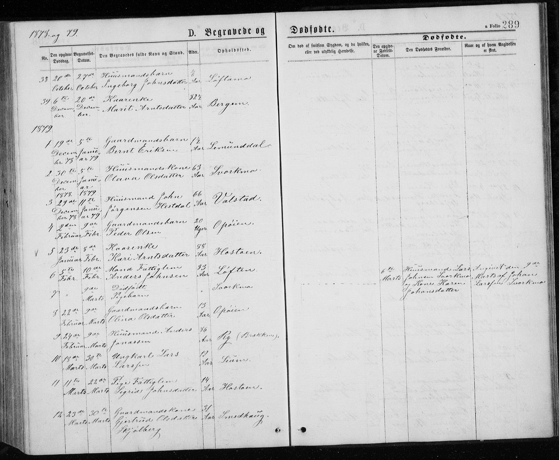 Ministerialprotokoller, klokkerbøker og fødselsregistre - Sør-Trøndelag, SAT/A-1456/671/L0843: Parish register (copy) no. 671C02, 1873-1892, p. 289