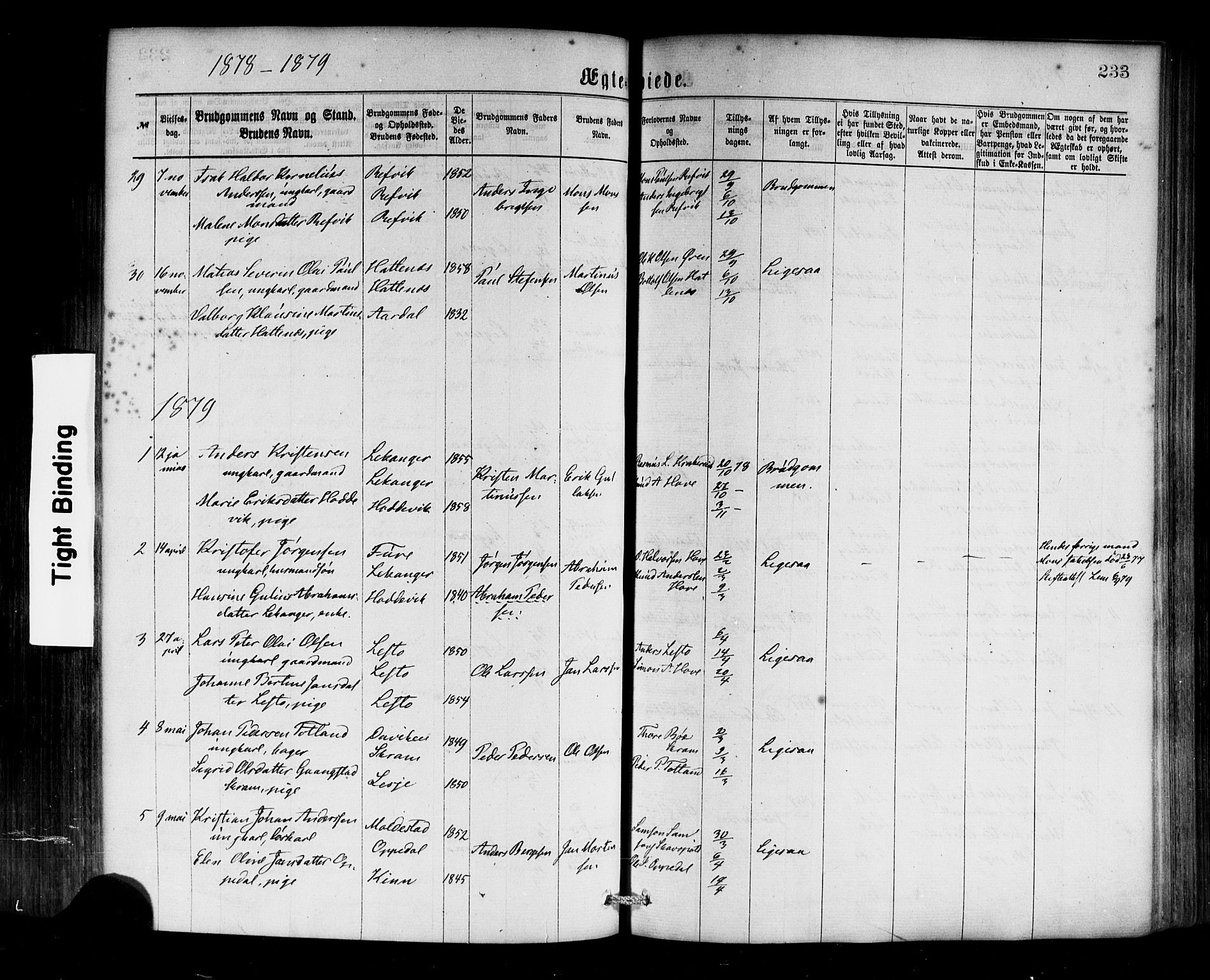 Selje sokneprestembete, SAB/A-99938/H/Ha/Haa/Haaa: Parish register (official) no. A 12, 1870-1880, p. 233