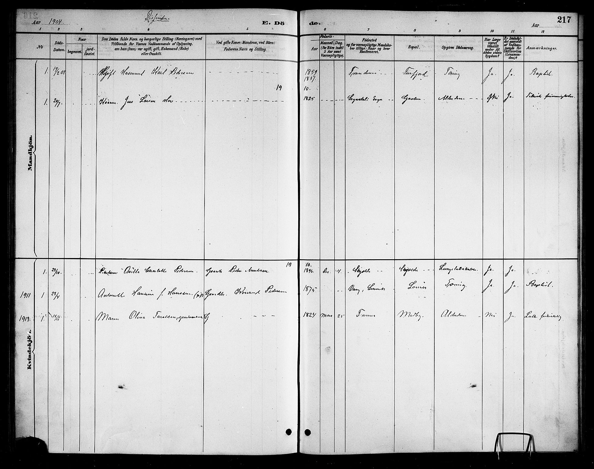 Ministerialprotokoller, klokkerbøker og fødselsregistre - Nordland, AV/SAT-A-1459/898/L1427: Parish register (copy) no. 898C02, 1887-1917, p. 217