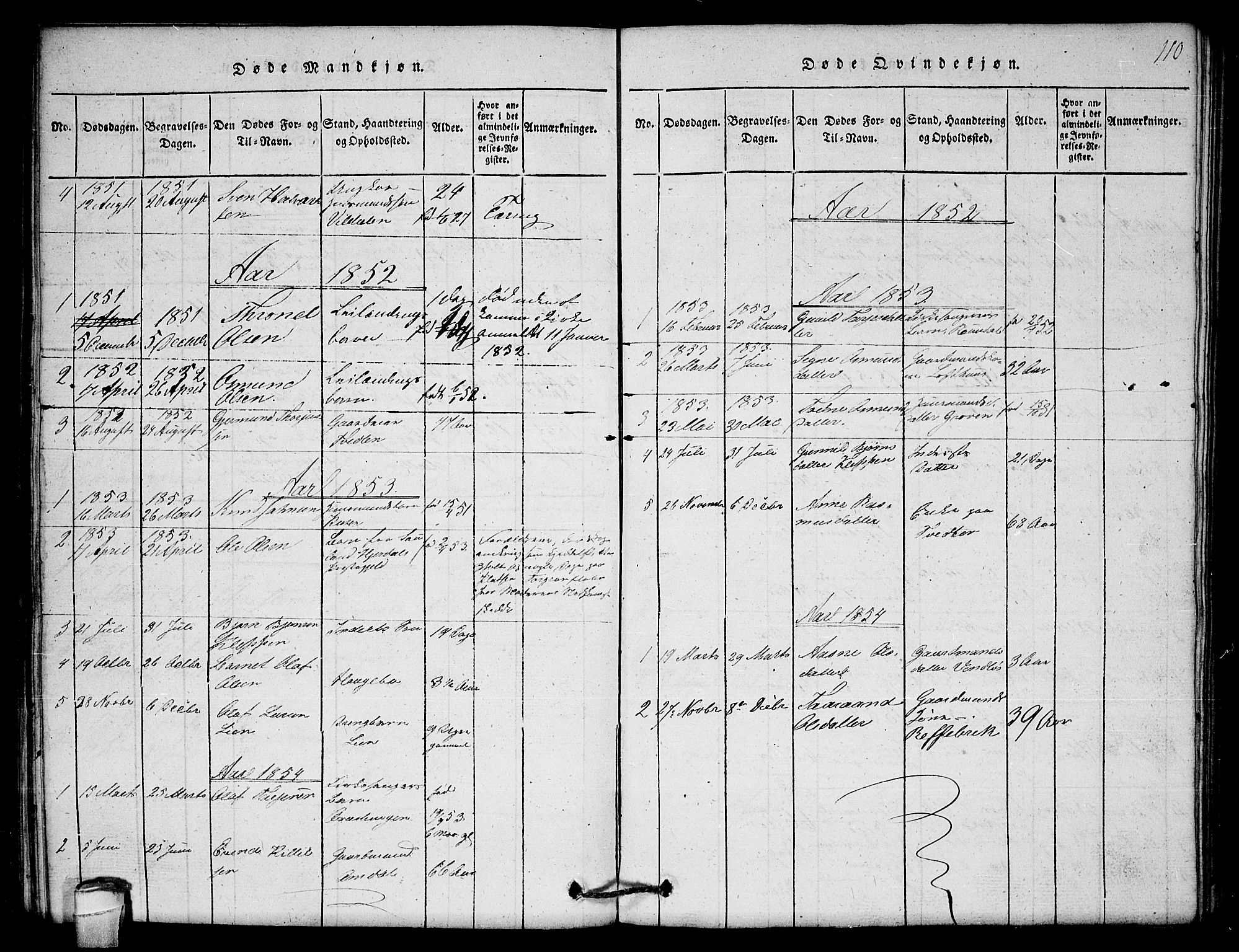 Lårdal kirkebøker, SAKO/A-284/G/Gb/L0001: Parish register (copy) no. II 1, 1815-1865, p. 110