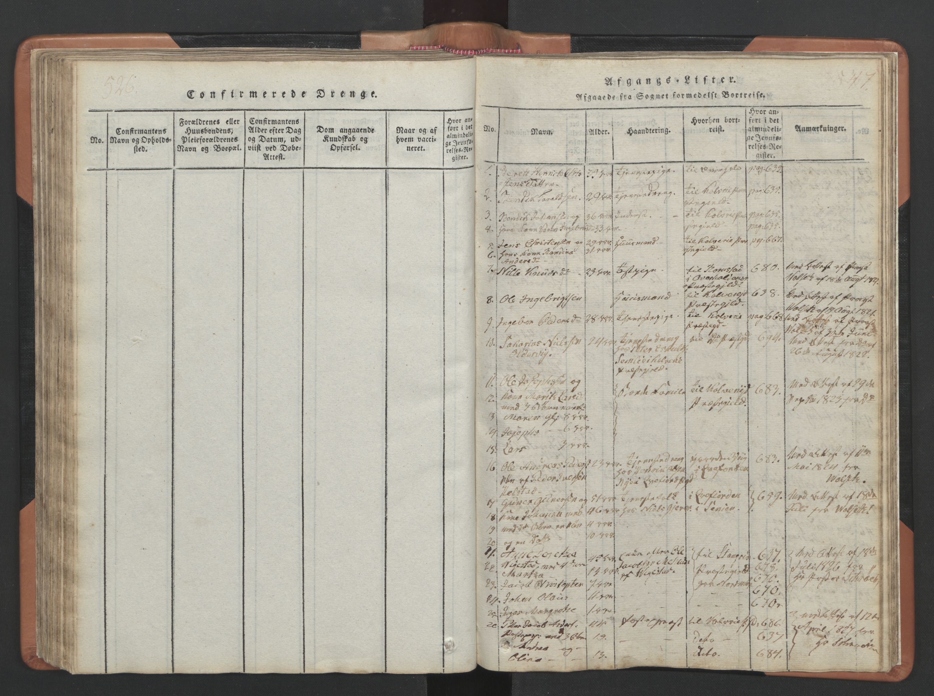 Ministerialprotokoller, klokkerbøker og fødselsregistre - Nordland, SAT/A-1459/810/L0157: Parish register (copy) no. 810C01, 1819-1842, p. 546-547